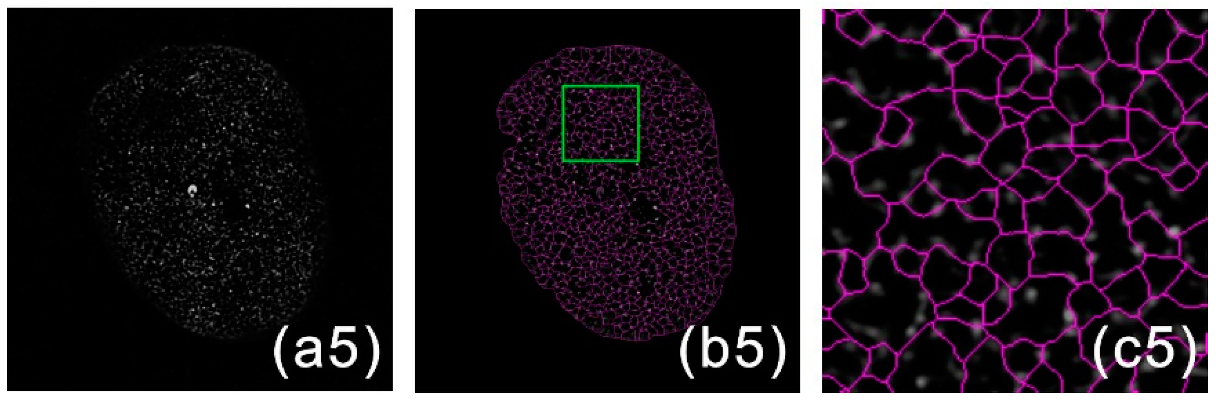 Photonics 07 00119 g008b Photonics 07 00119 g008b