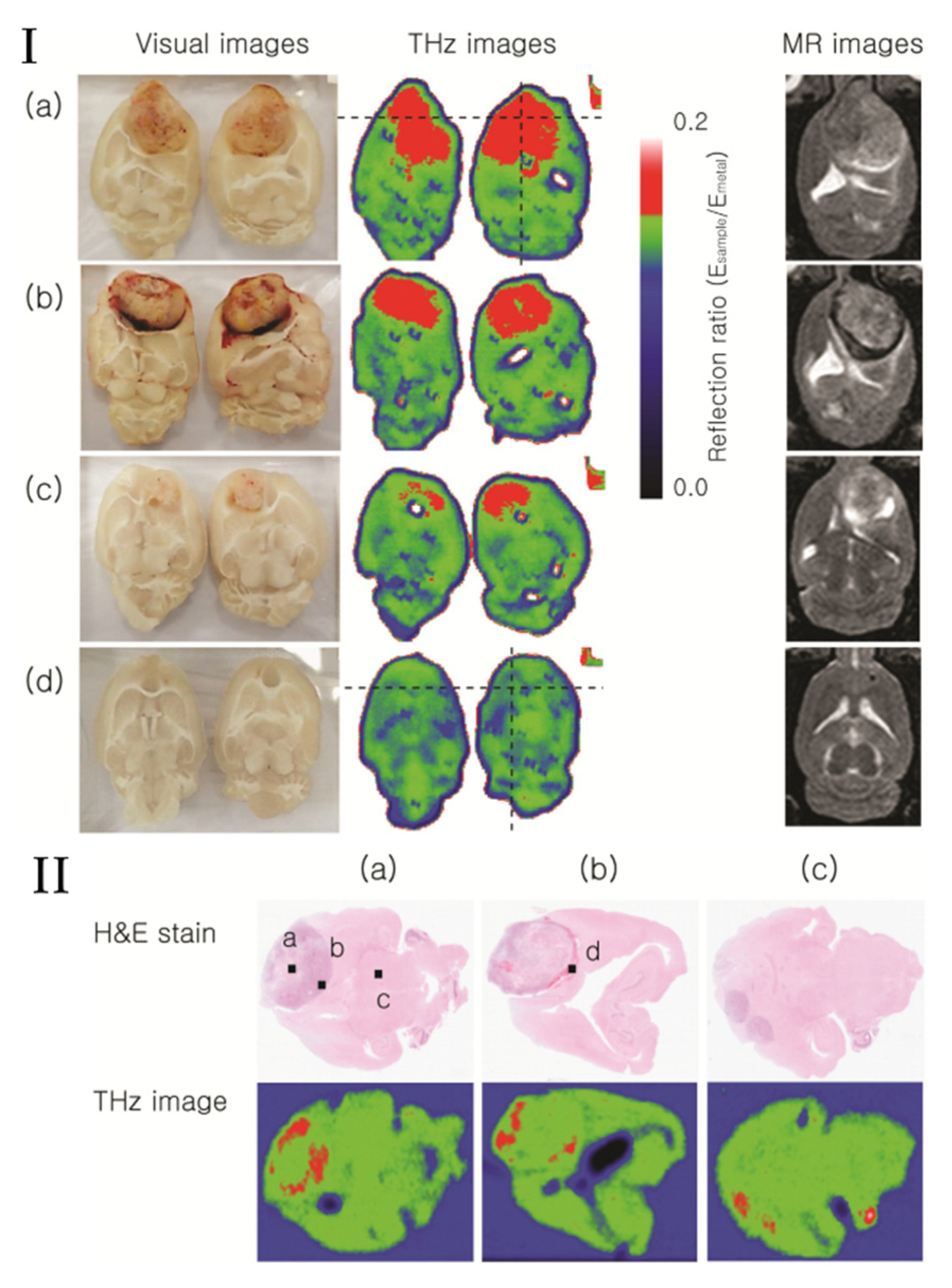 Photonics 08 00022 g003 Photonics 08 00022 g003