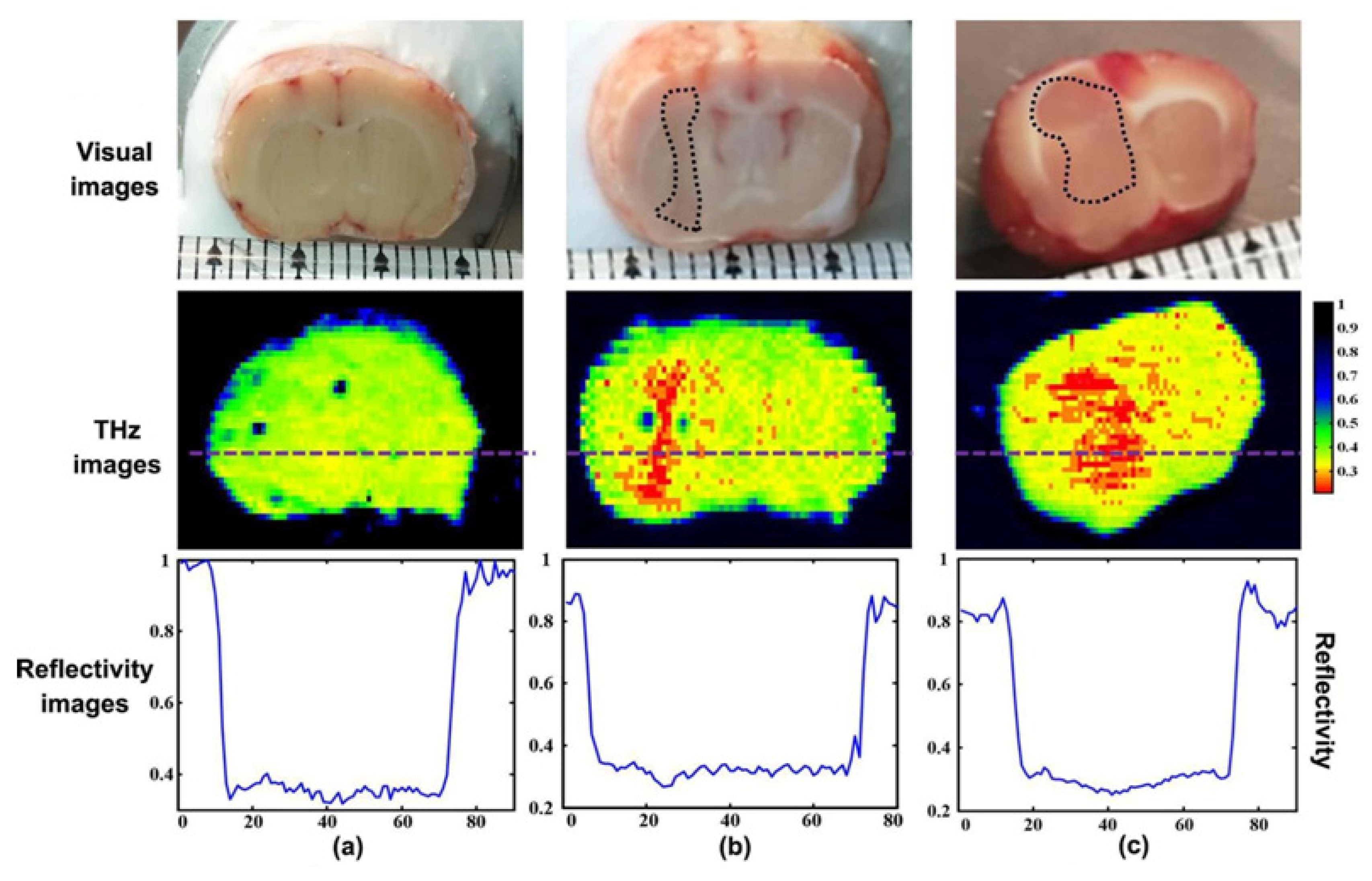 Photonics 08 00022 g006 Photonics 08 00022 g006