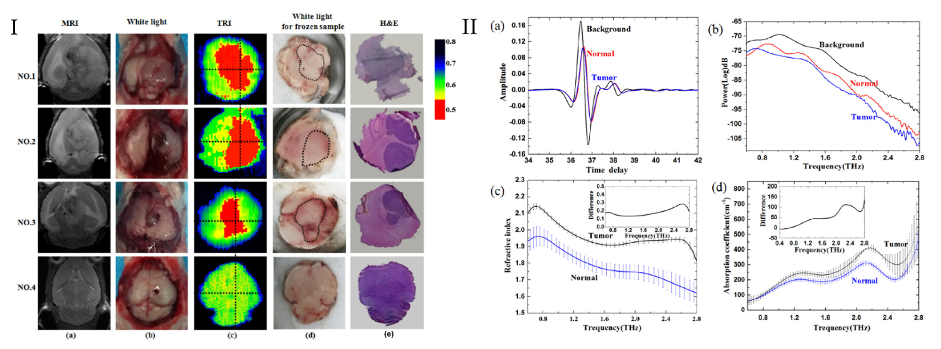 Photonics 08 00022 g008 Photonics 08 00022 g008