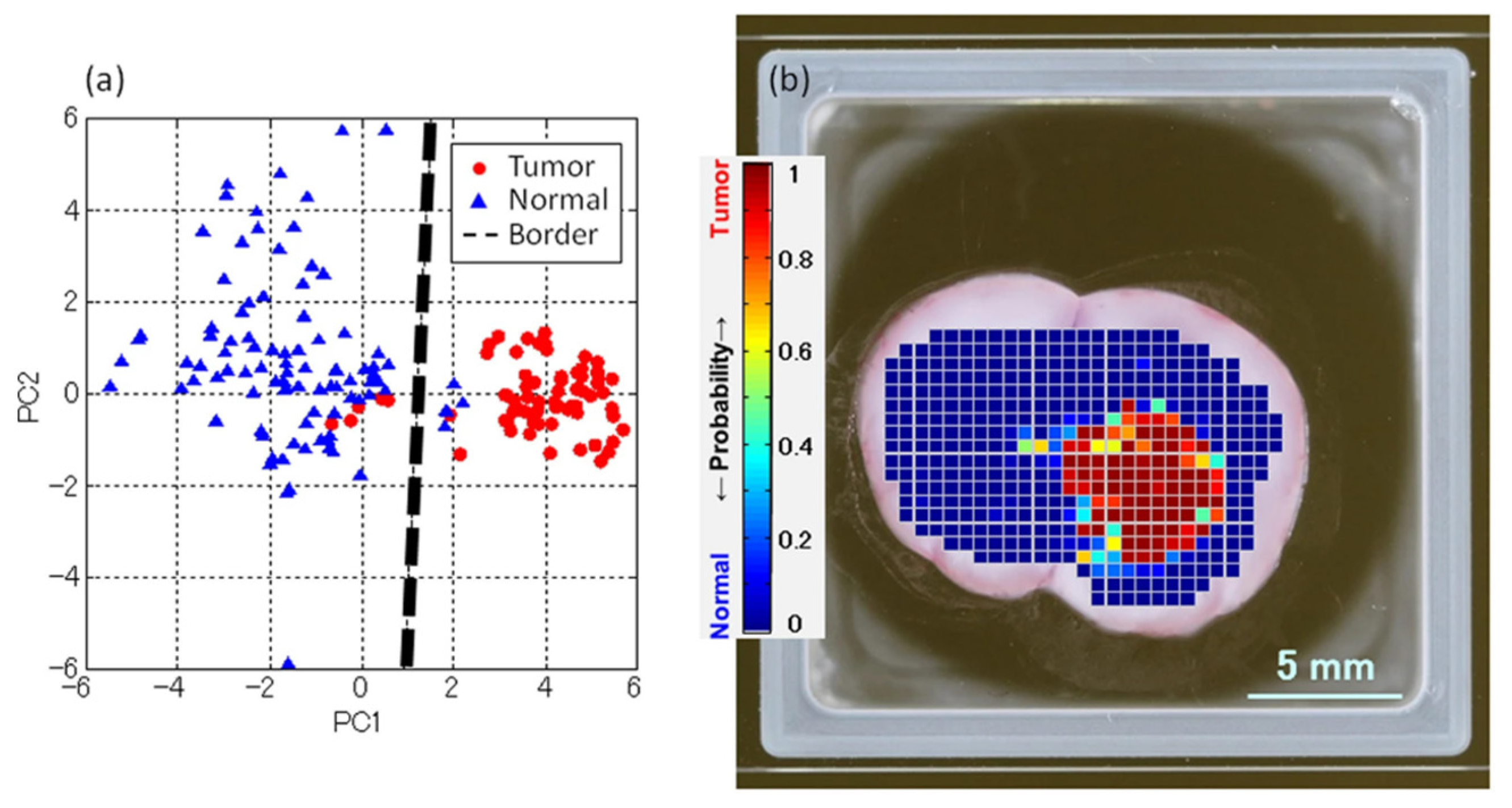 Photonics 08 00022 g020 Photonics 08 00022 g020