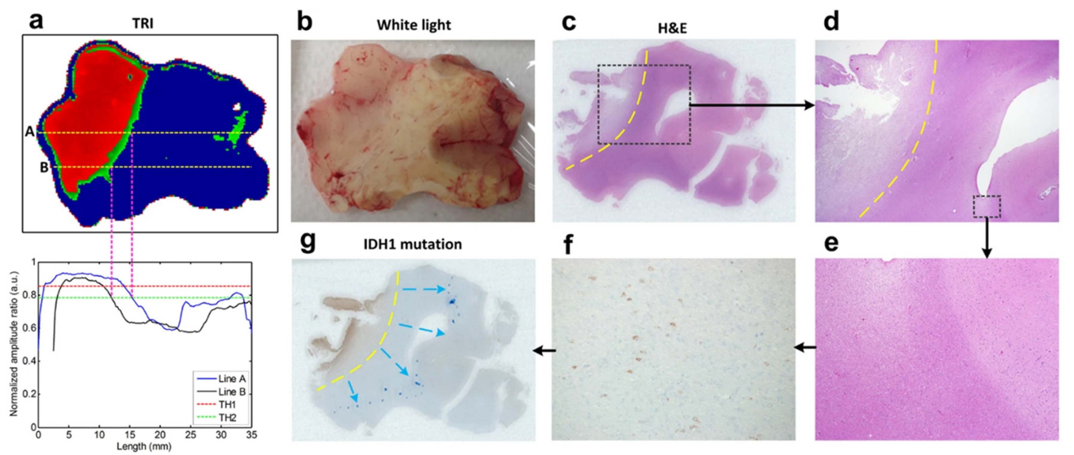 Photonics 08 00022 g021 Photonics 08 00022 g021