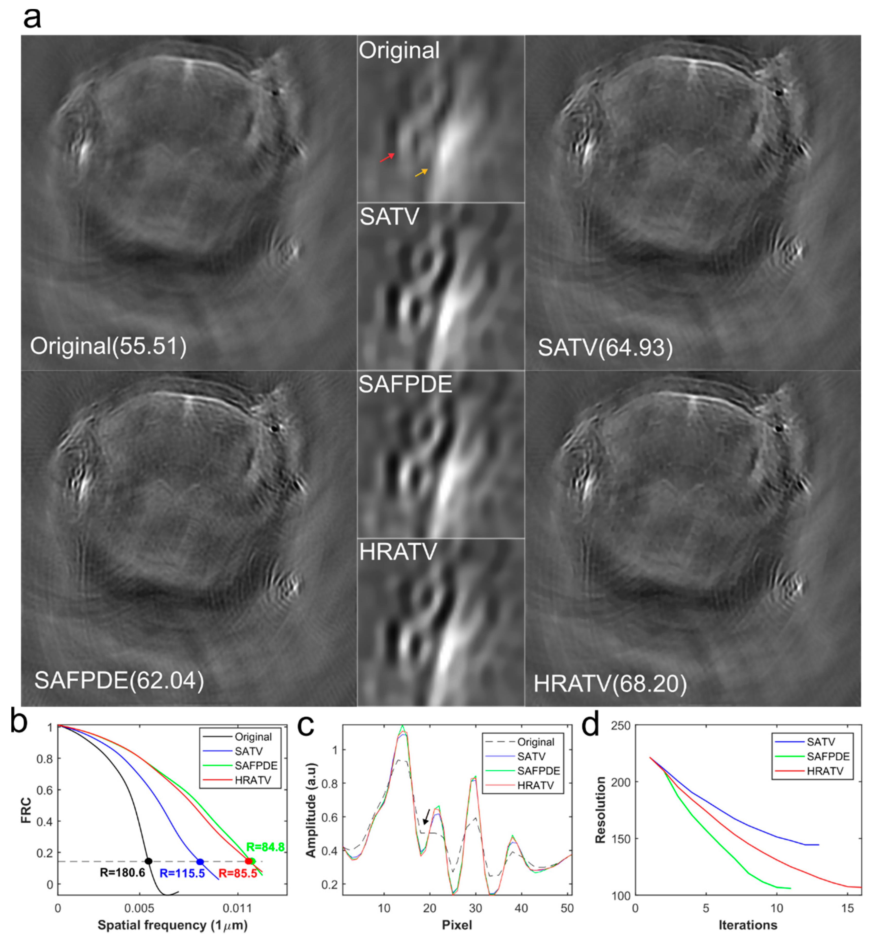 Photonics 08 00025 g008