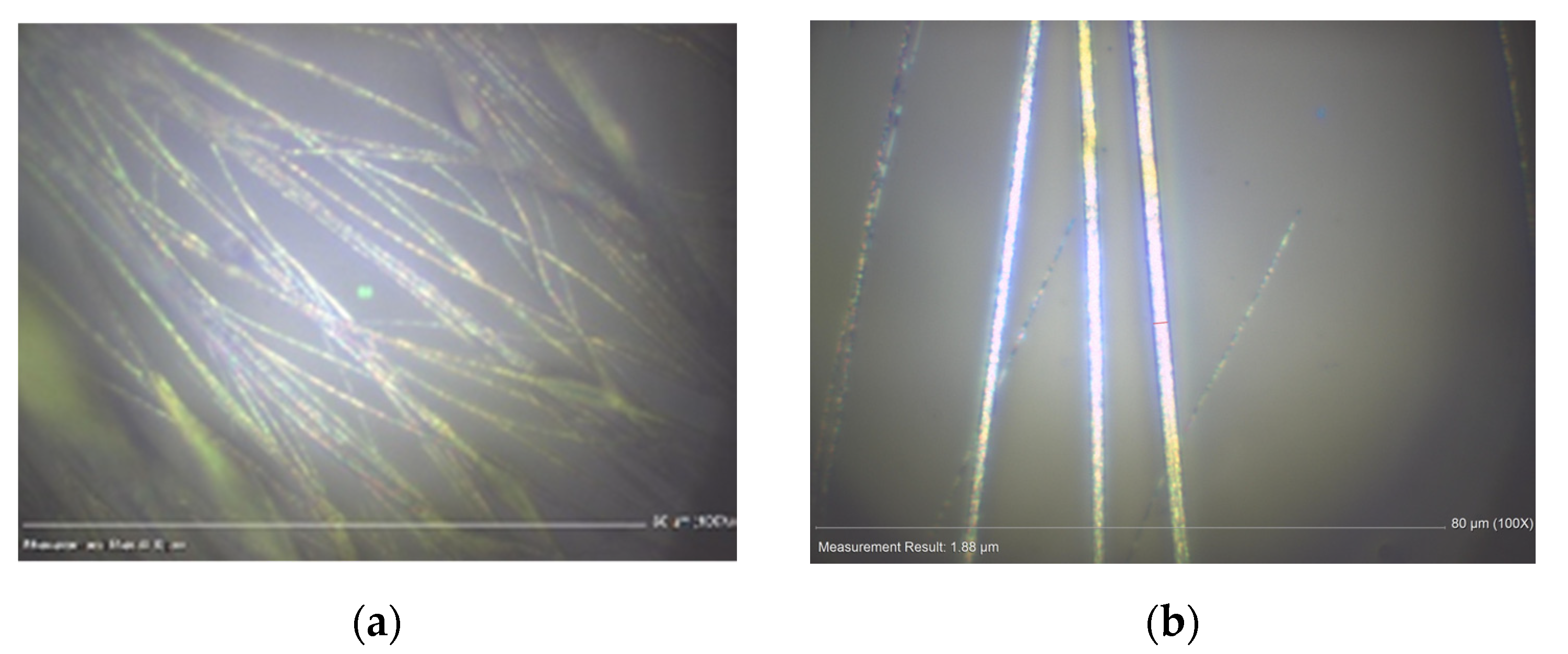Photonics 08 00030 g001