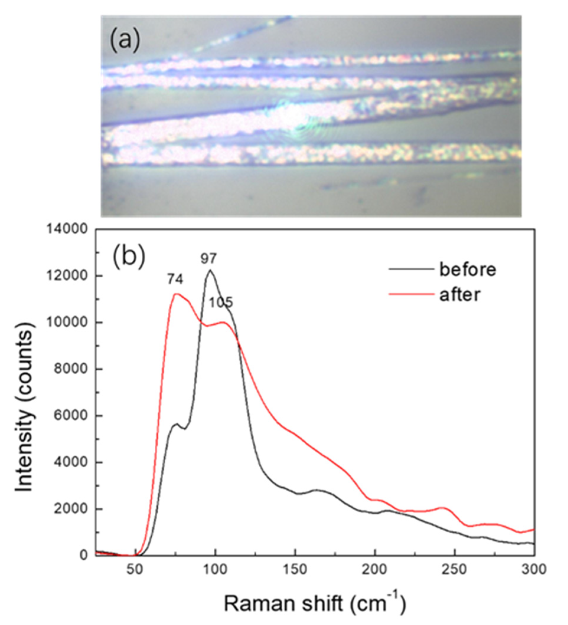 Photonics 08 00030 g004