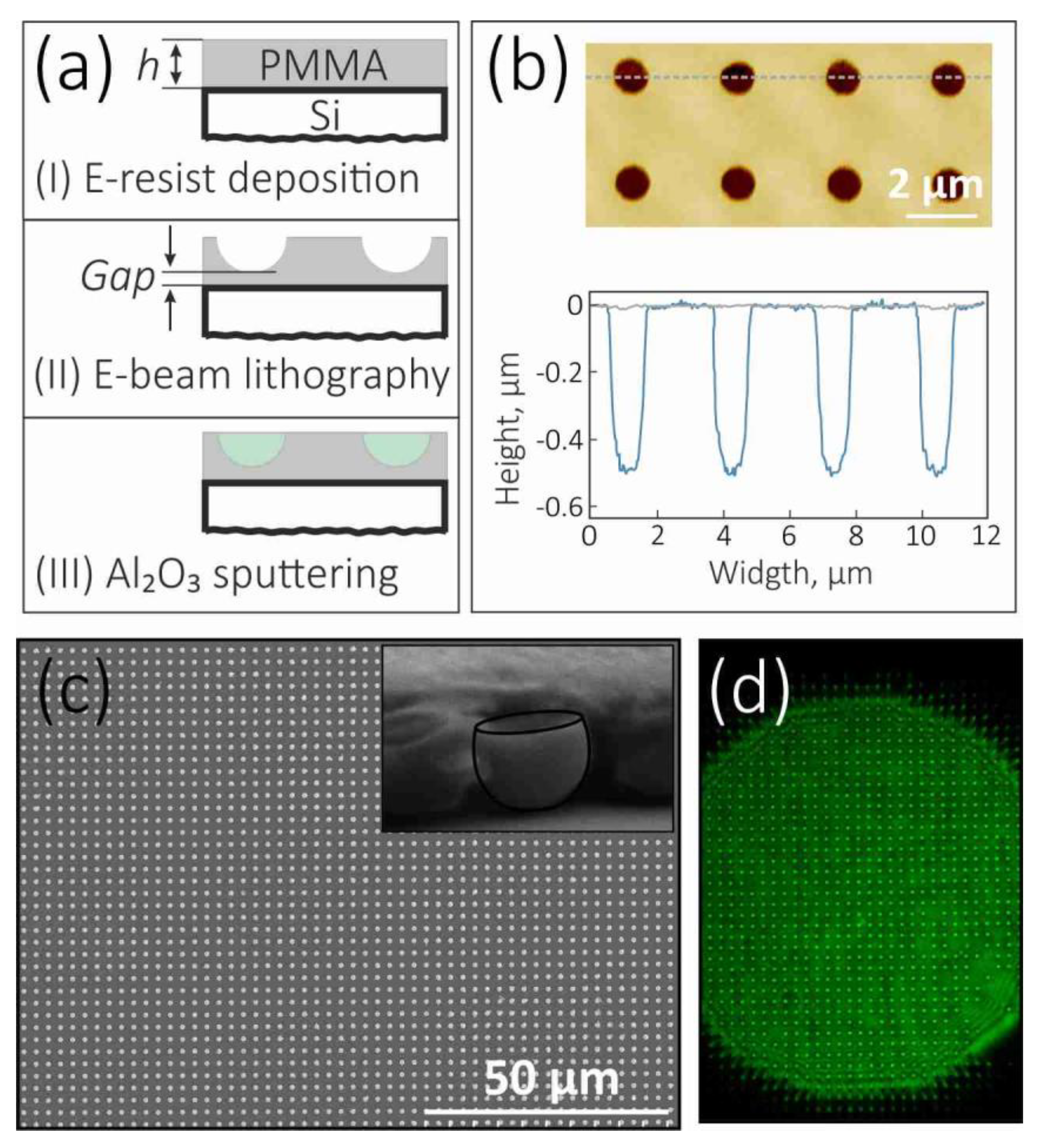 Photonics 08 00054 g002