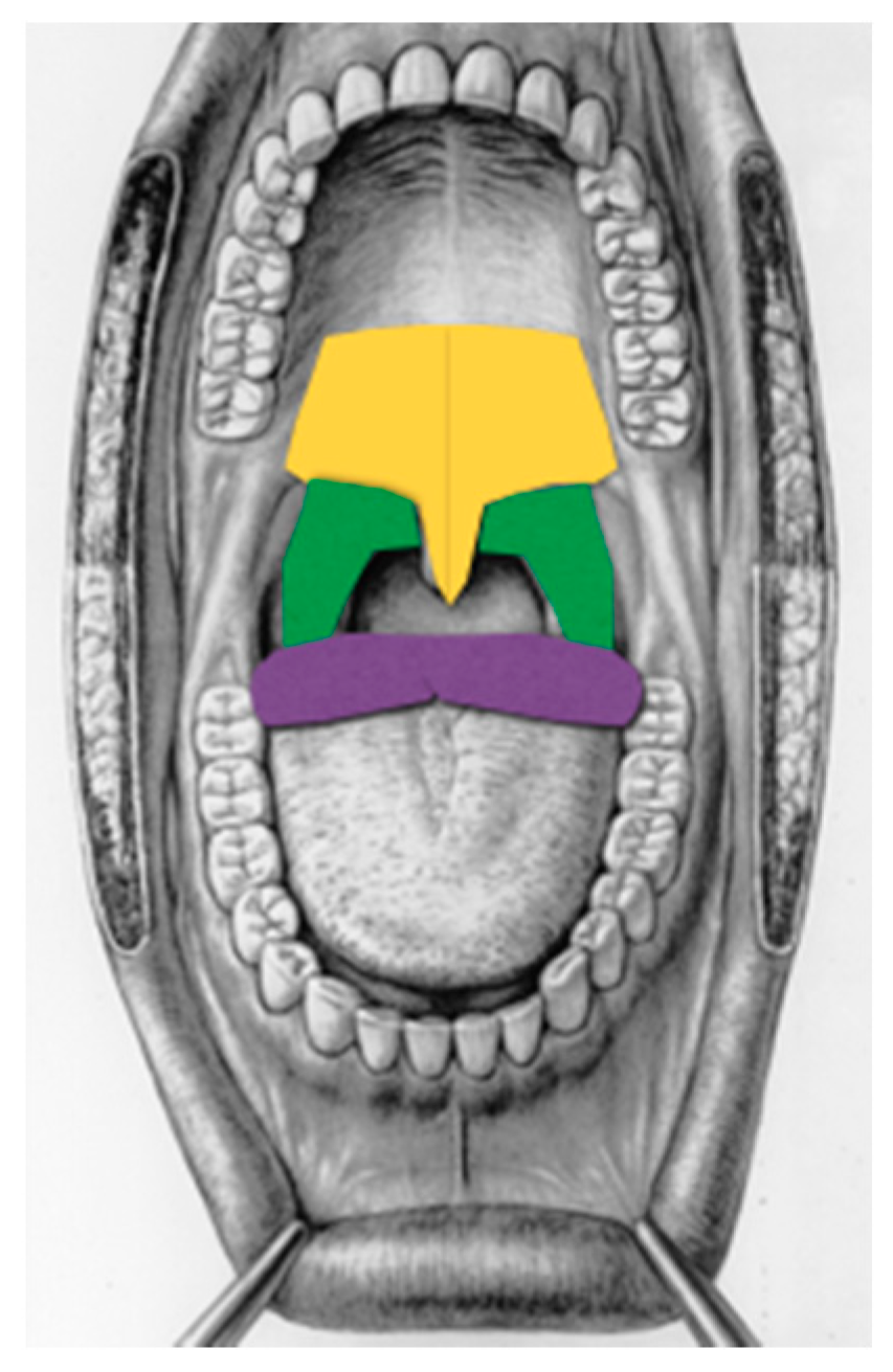 Photonics 08 00069 g001