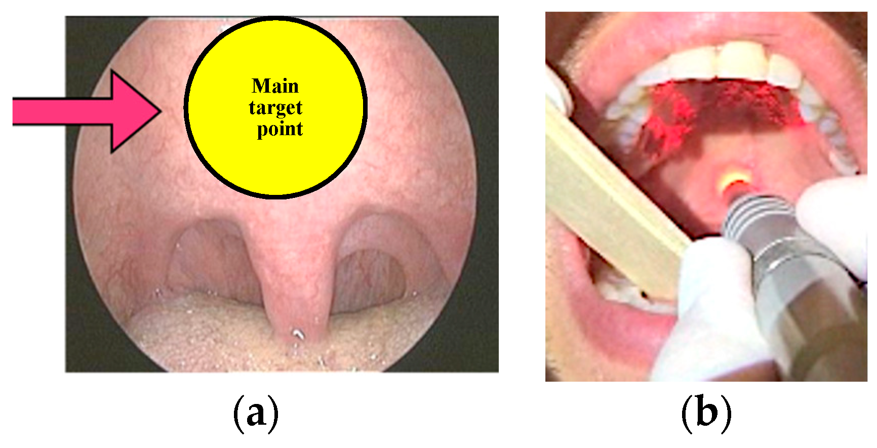 Photonics 08 00069 g003