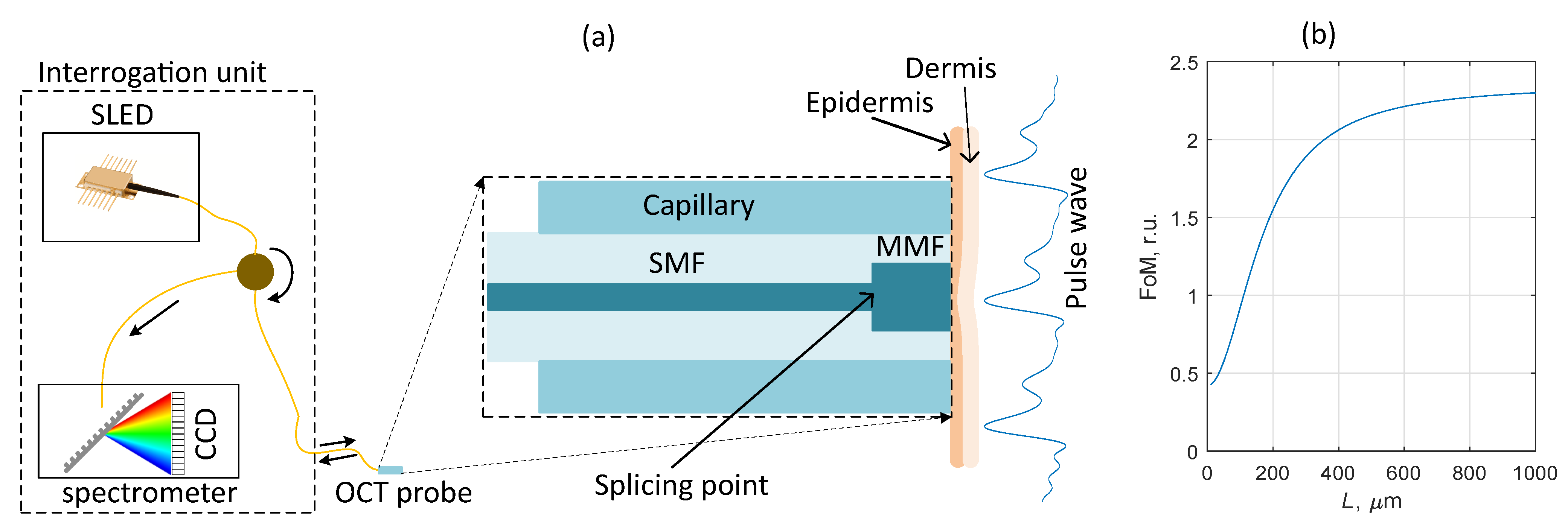 Photonics 08 00142 g003