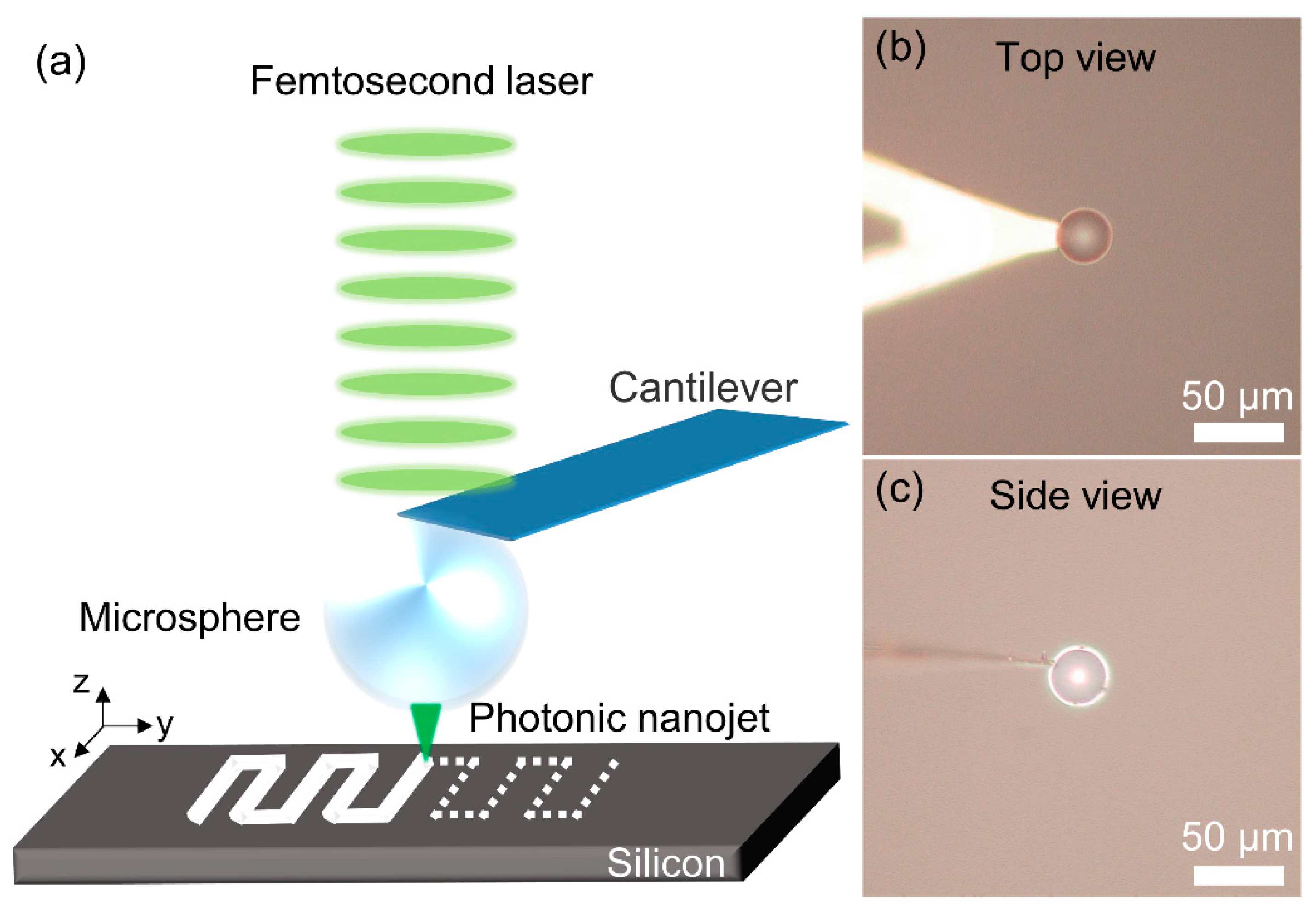 Photonics 08 00152 g001