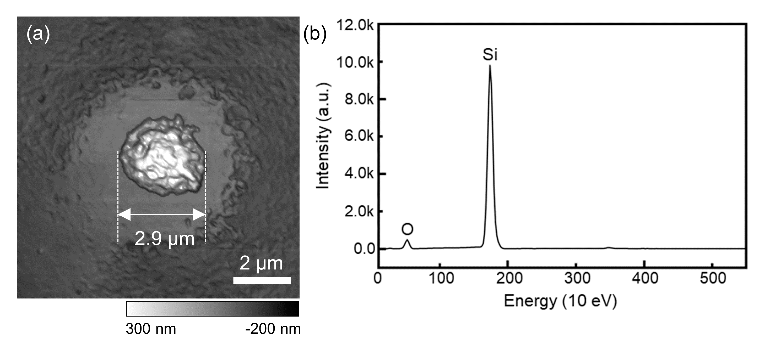 Photonics 08 00152 g002