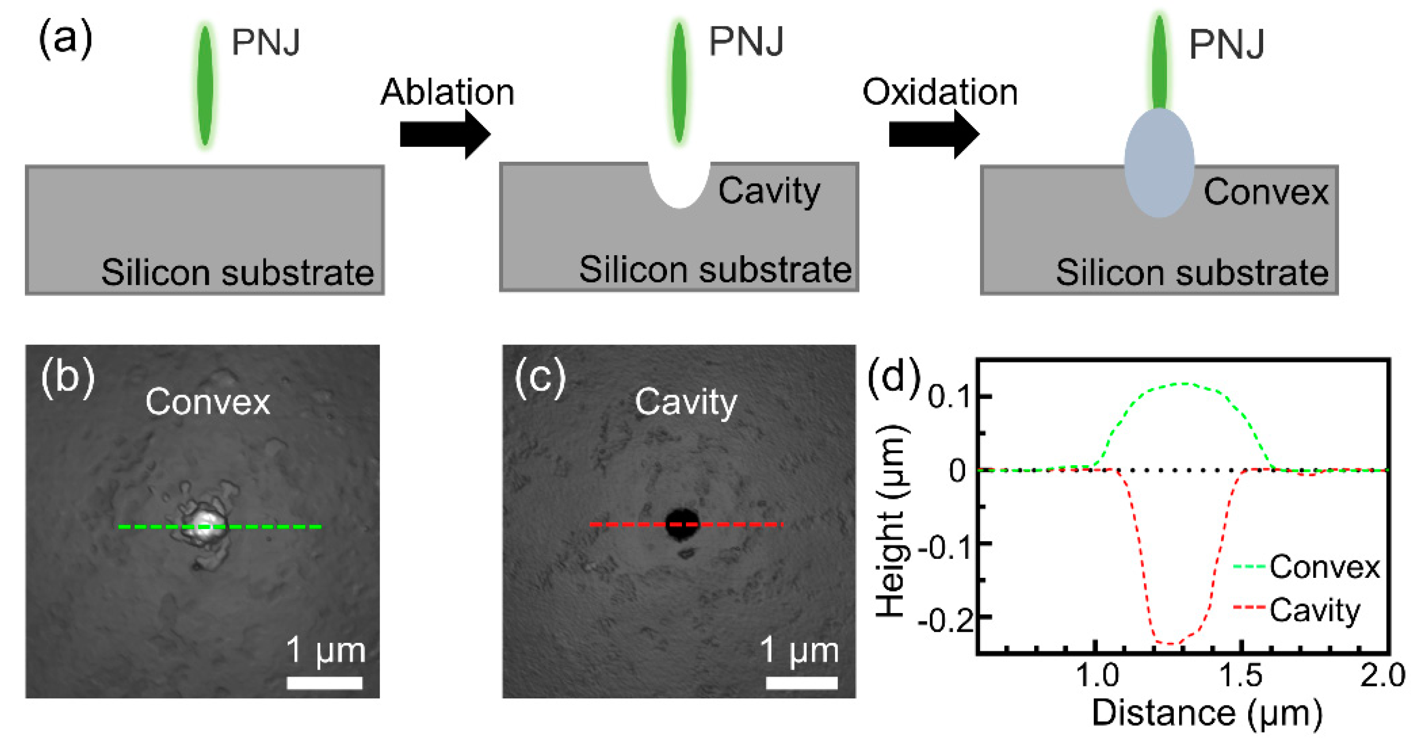 Photonics 08 00152 g003