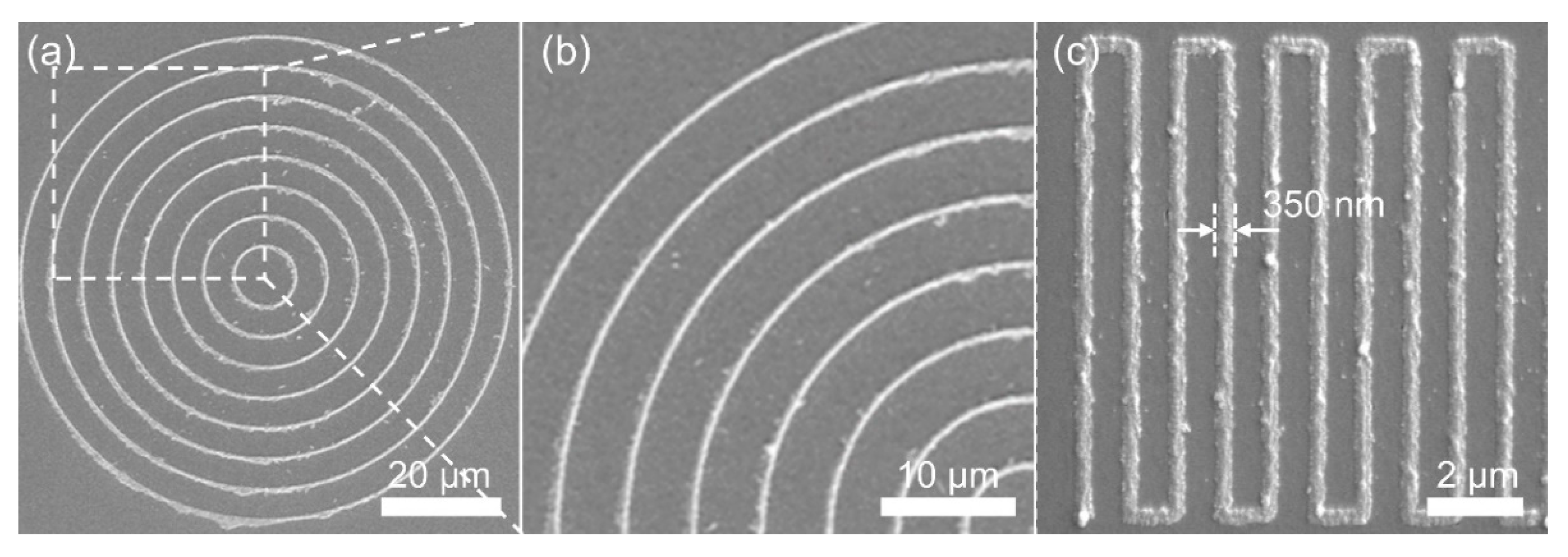 Photonics 08 00152 g006