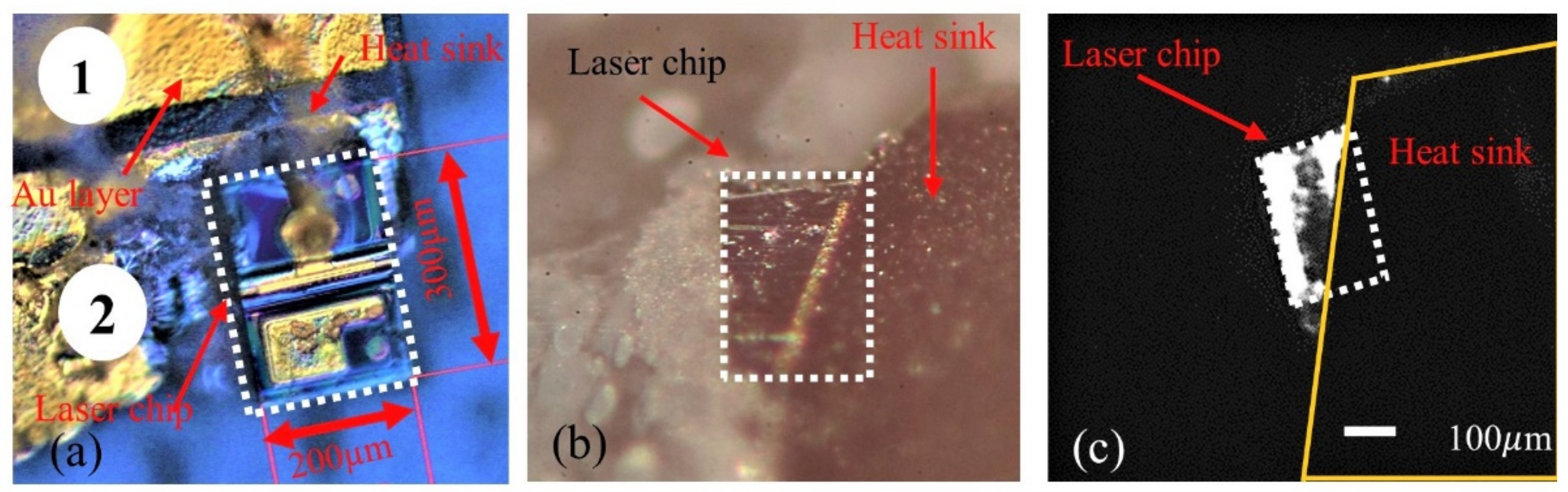Photonics 08 00184 g010