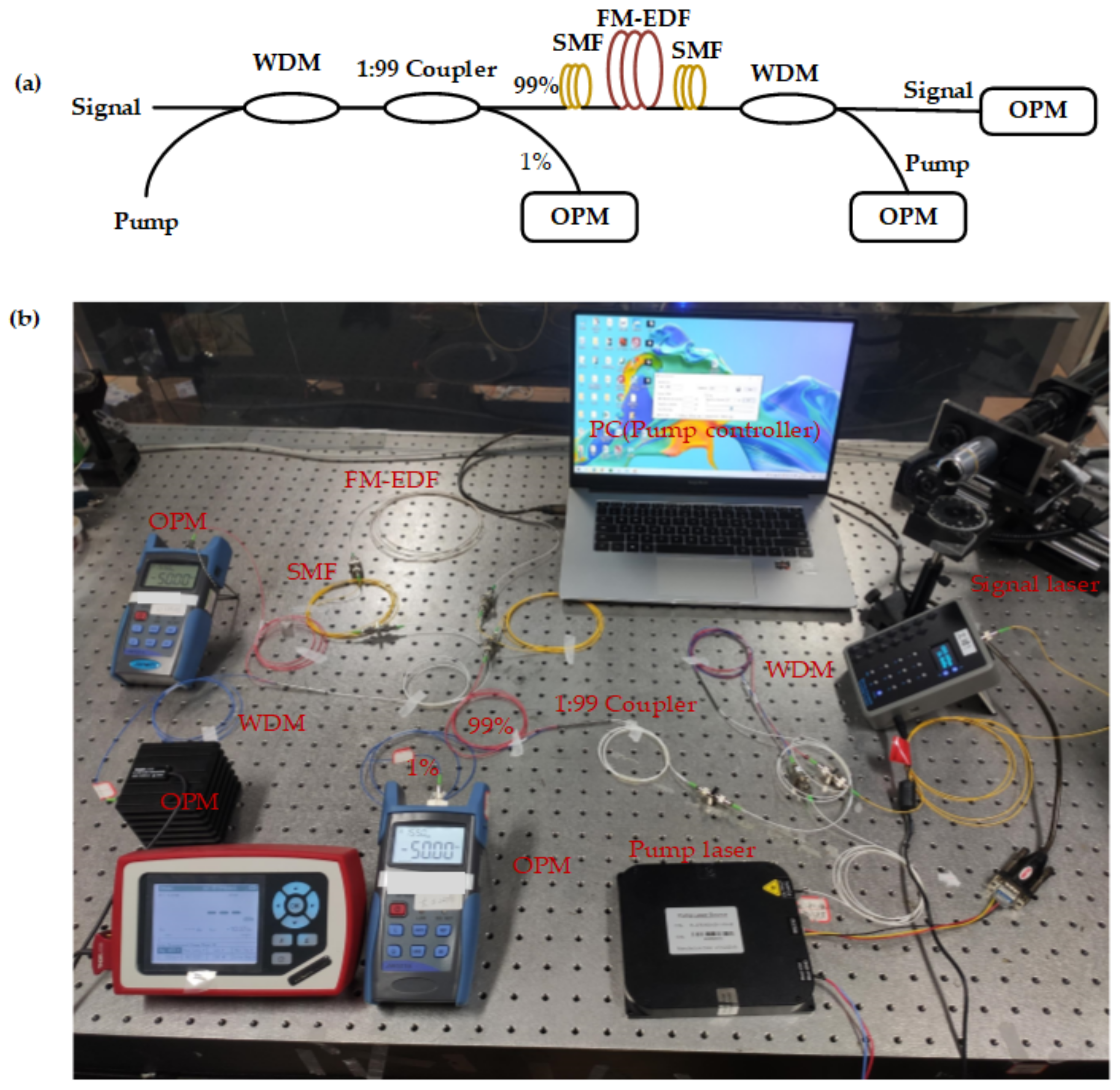 Photonics 08 00185 g001