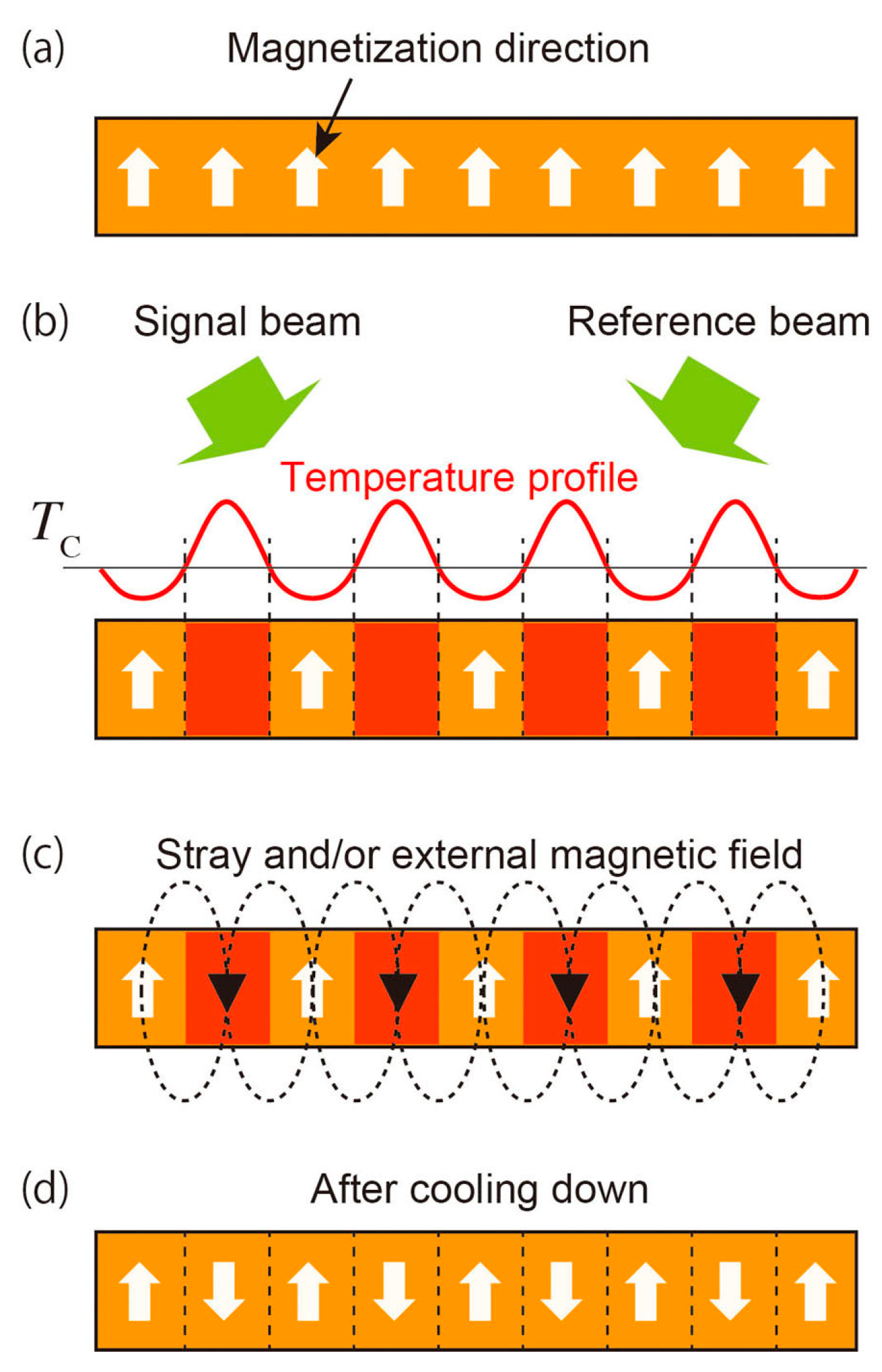 Photonics 08 00187 g002