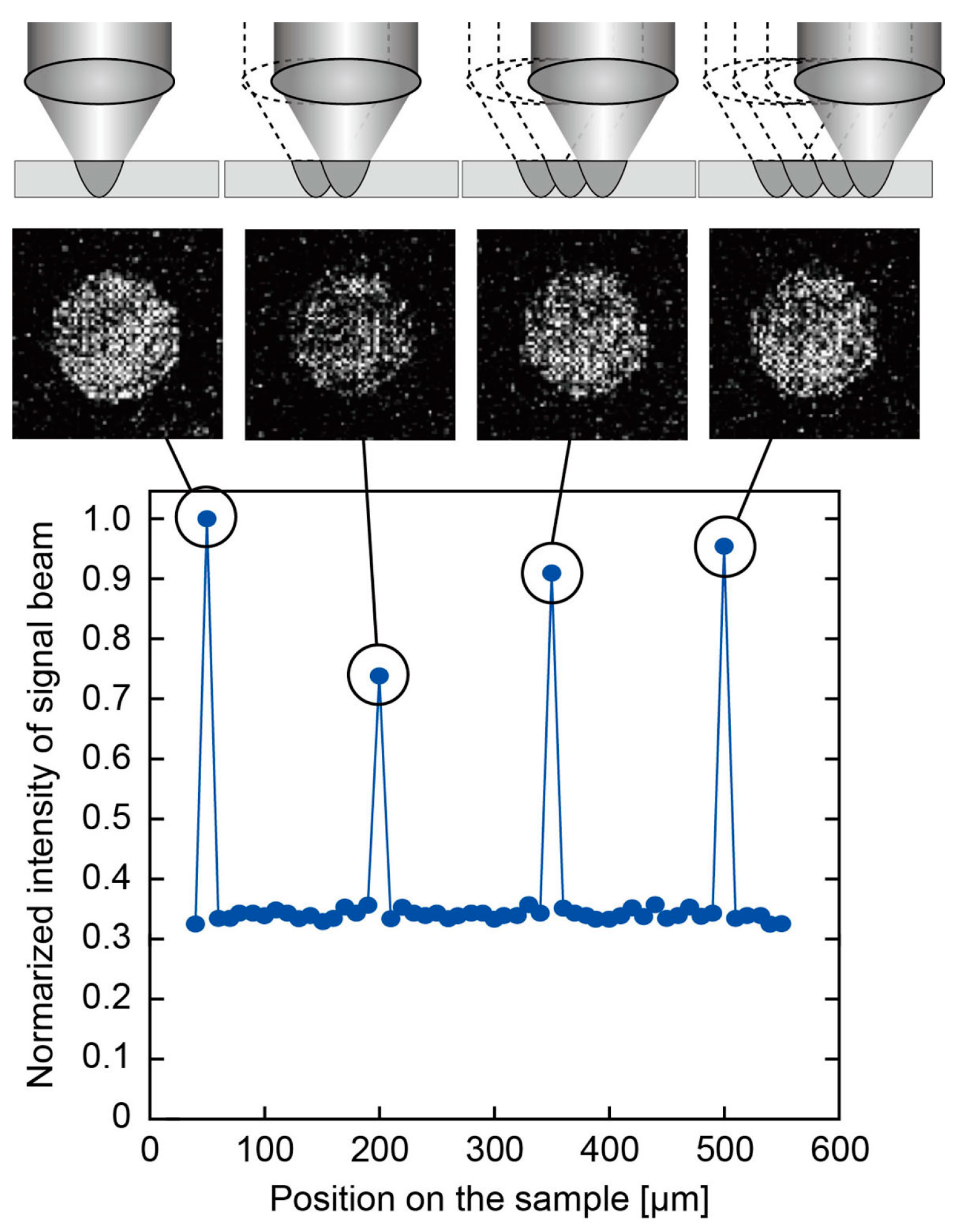 Photonics 08 00187 g006