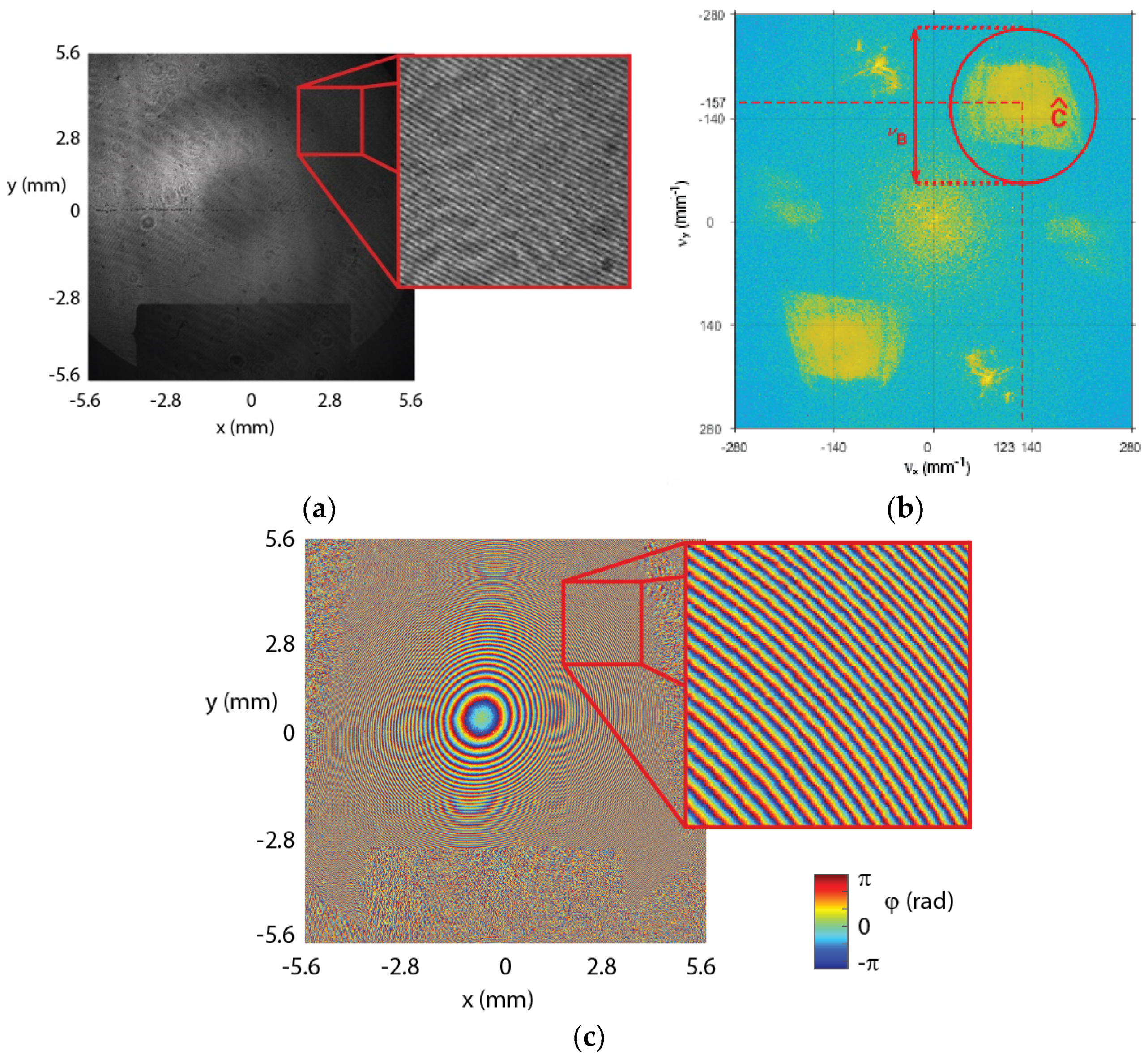 Photonics 08 00200 g003