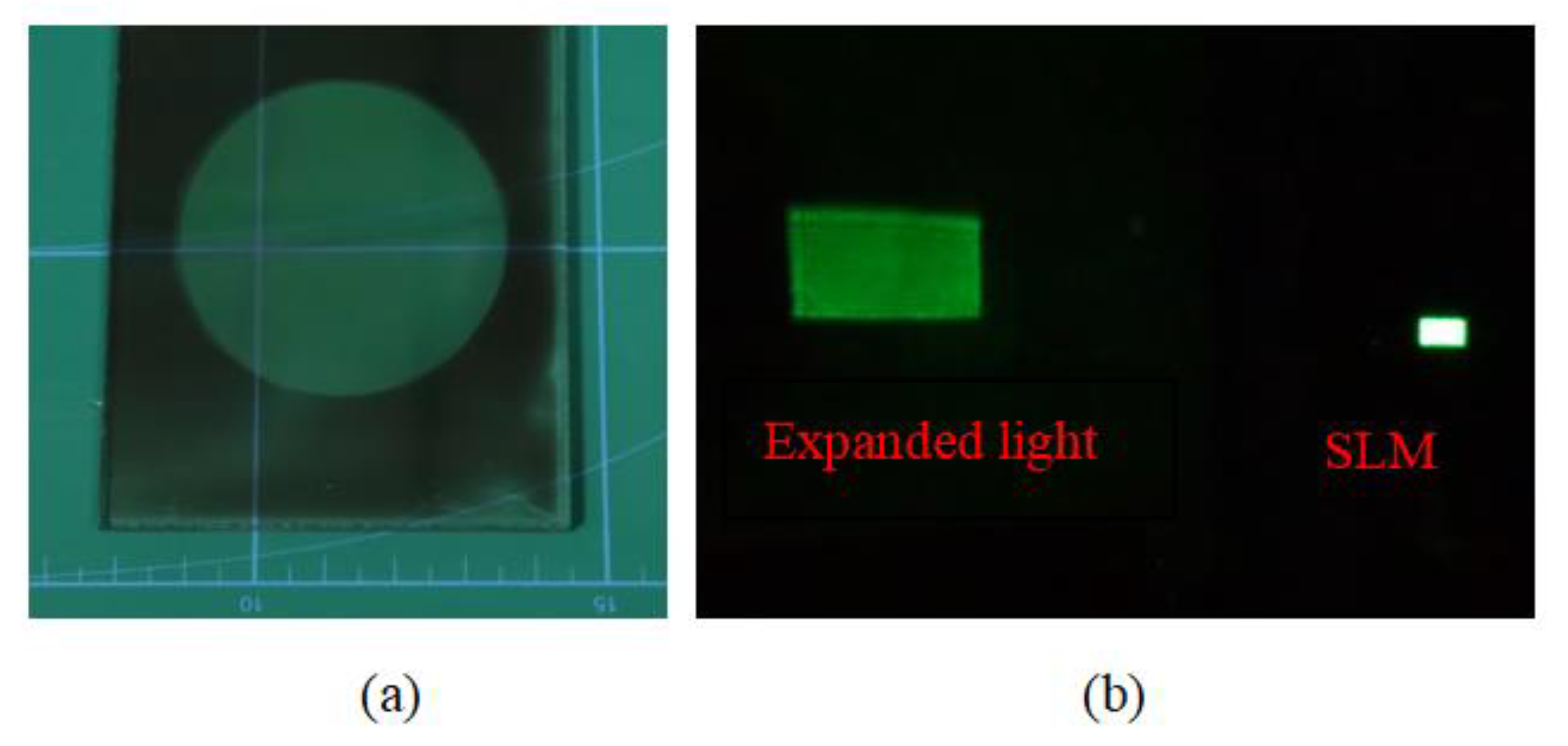 Photonics 08 00204 g014