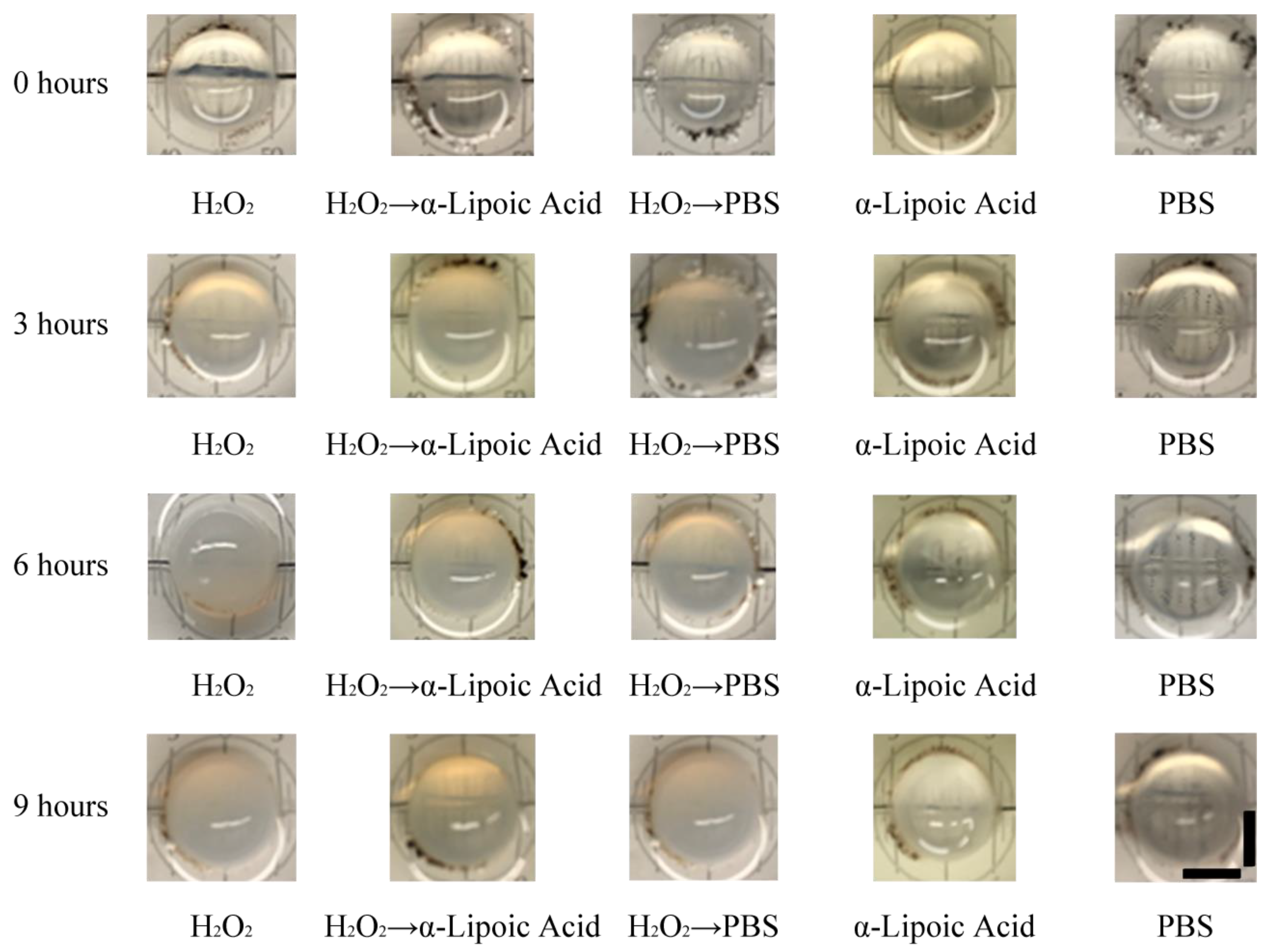Photonics 08 00207 g002