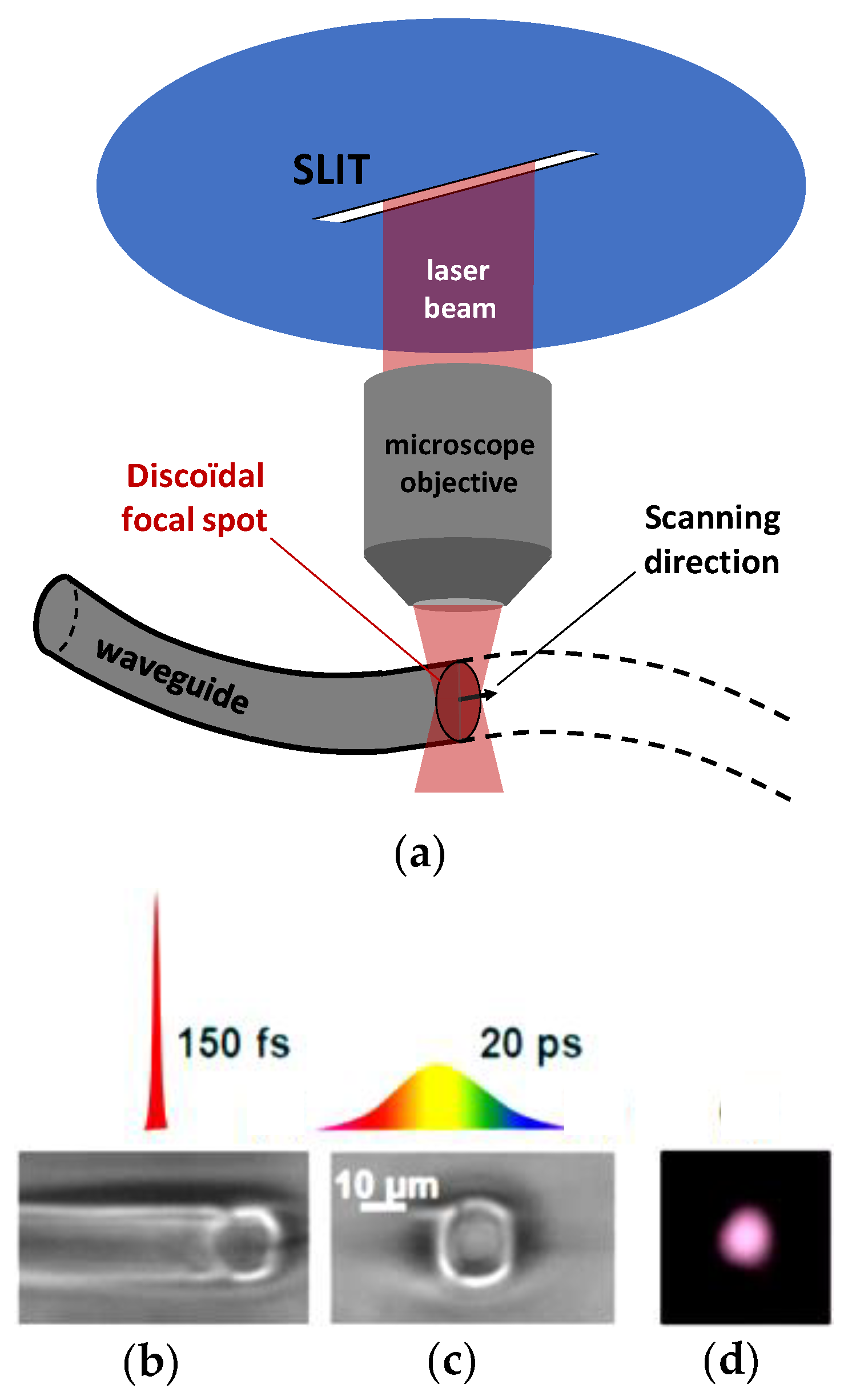 Photonics 08 00211 g002