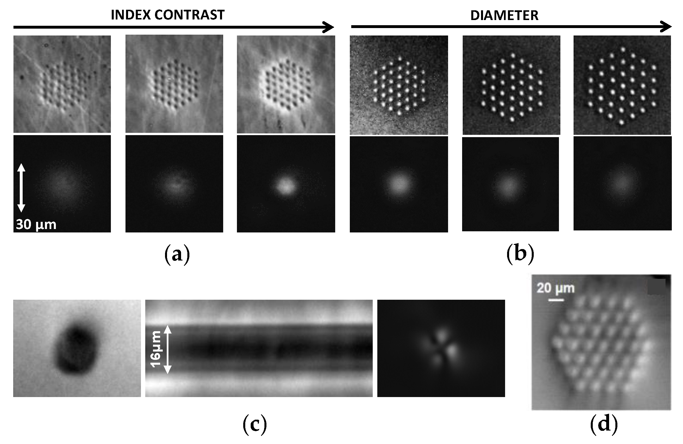 Photonics 08 00211 g003