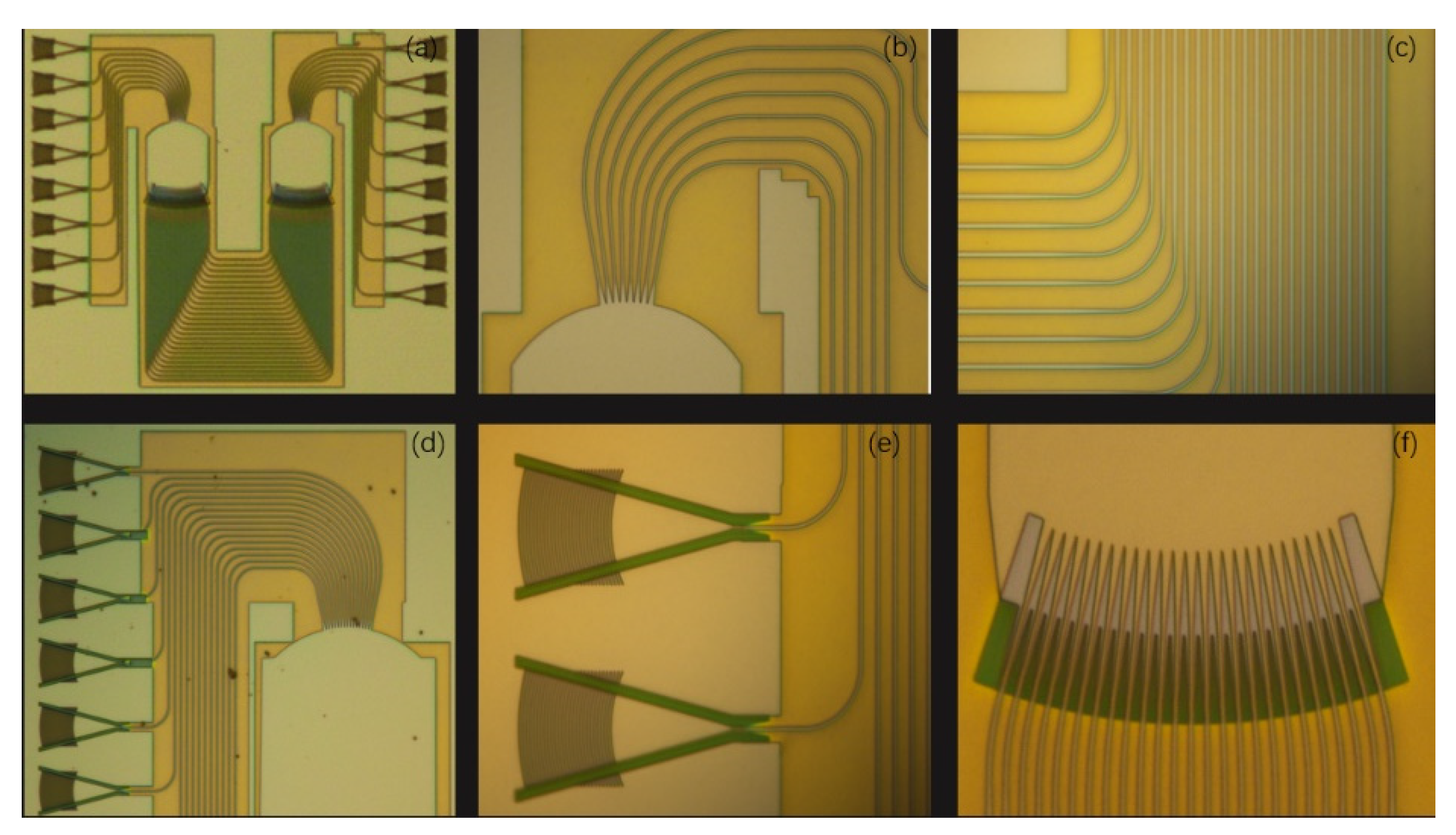 Photonics 08 00214 g007