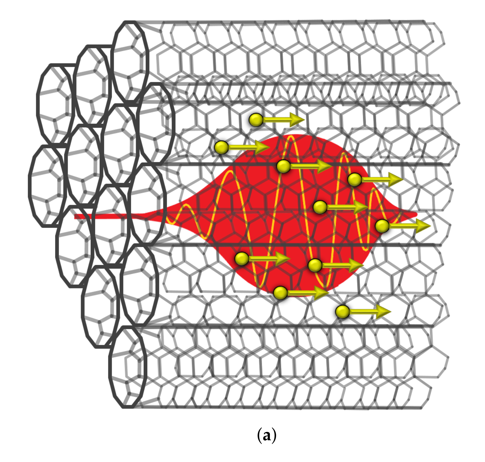 Photonics 08 00216 g001a