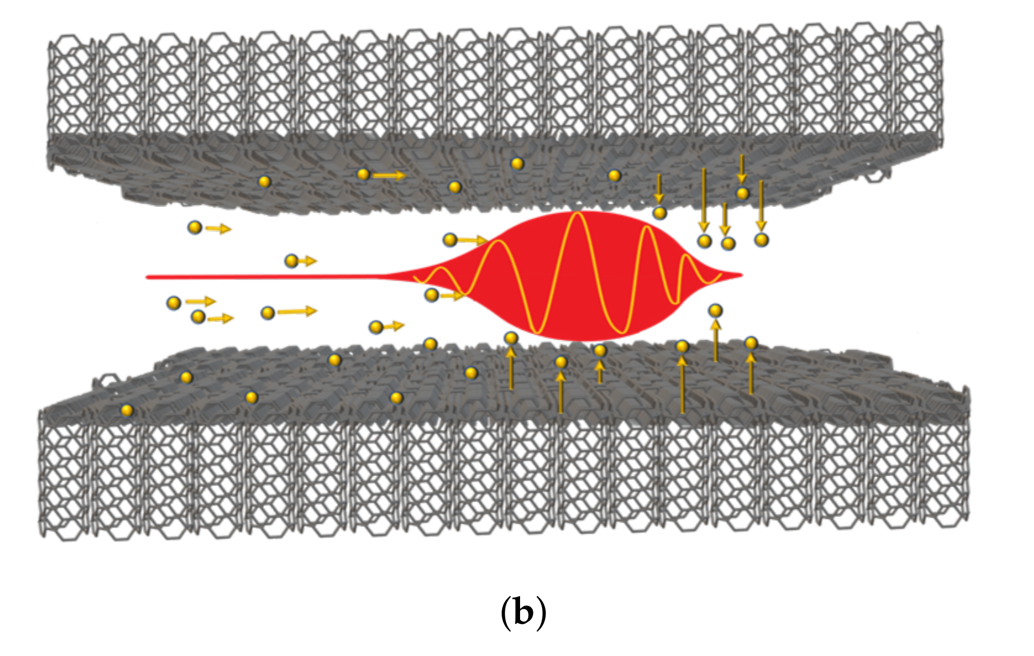Photonics 08 00216 g001b