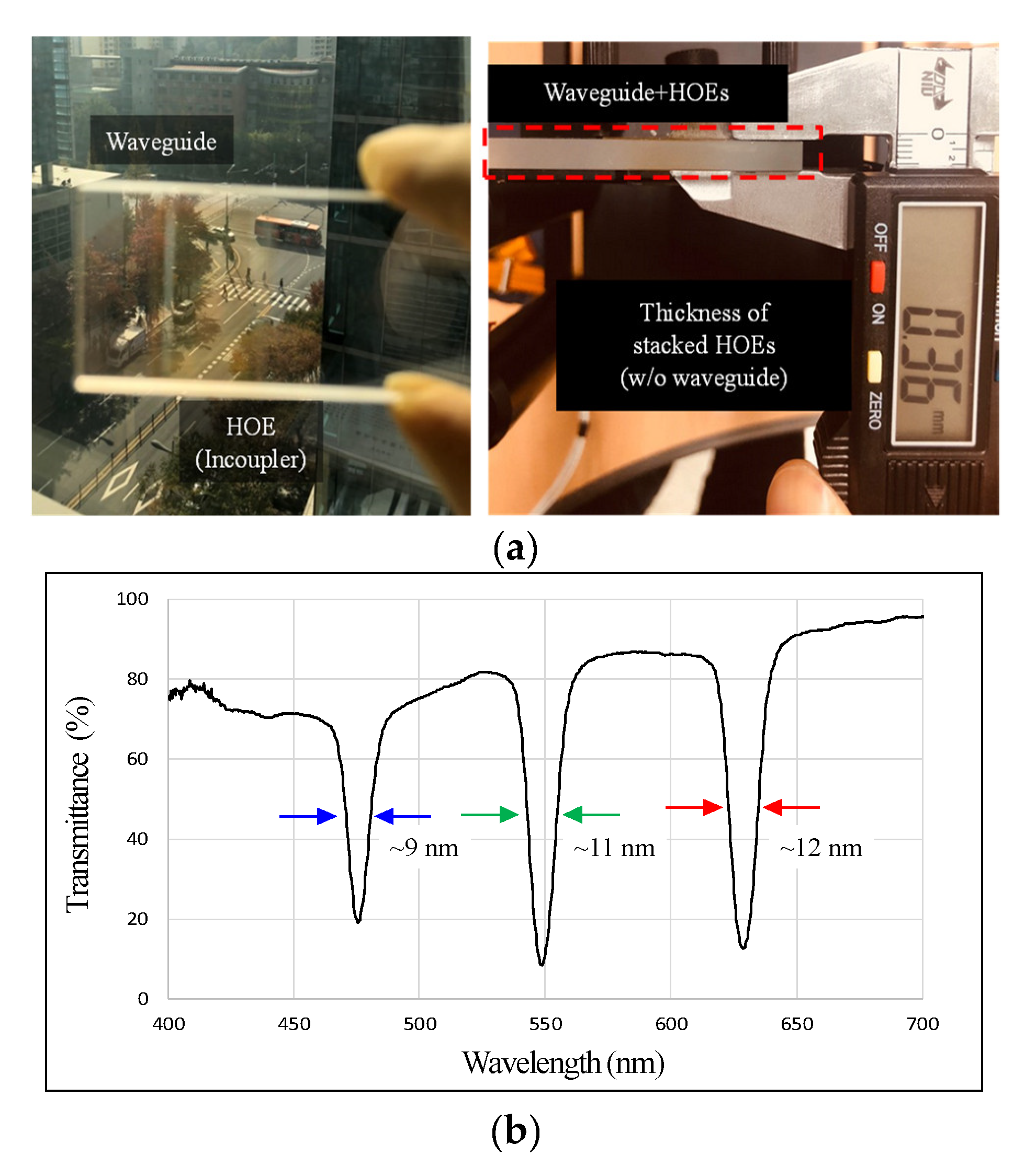 Photonics 08 00217 g007 Photonics 08 00217 g007
