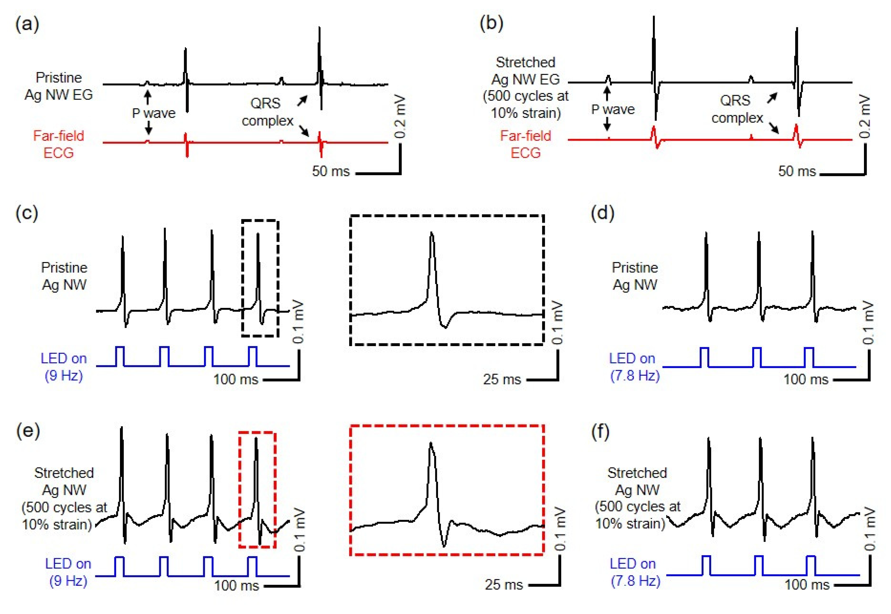 Photonics 08 00220 g006