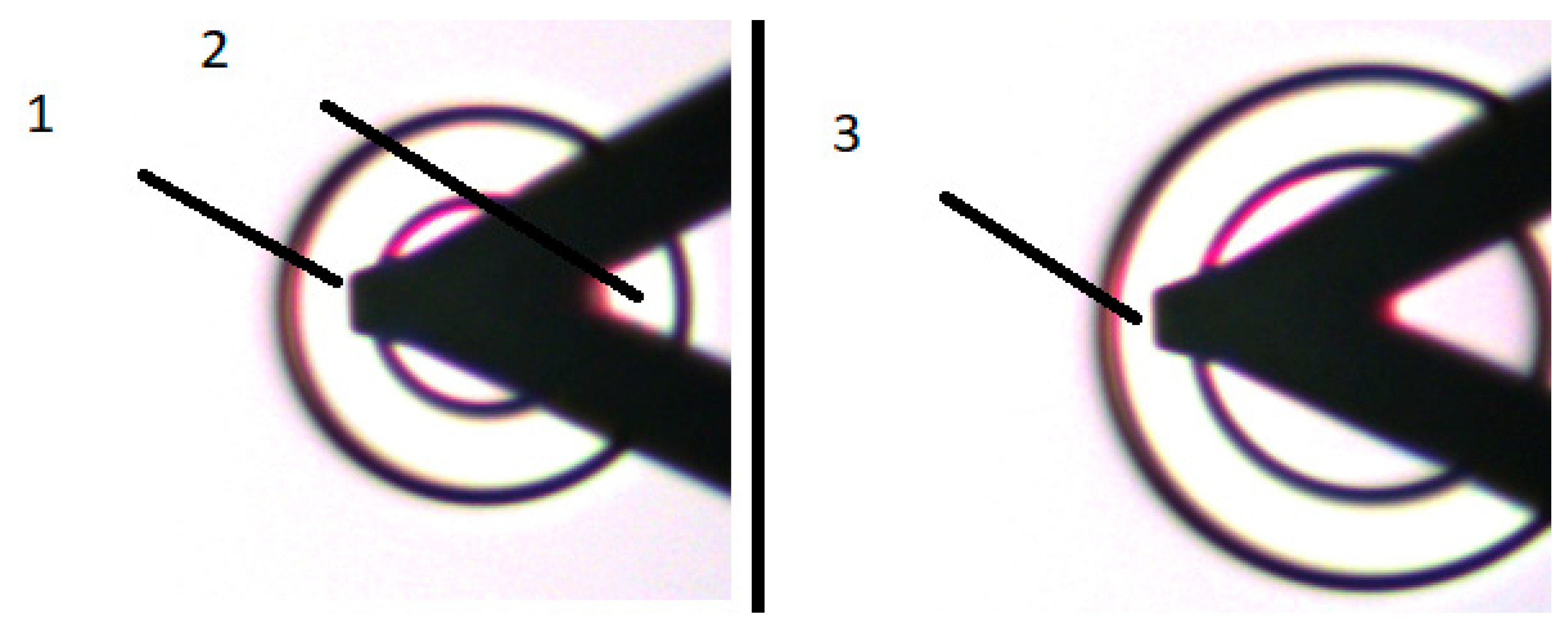 Photonics 08 00225 g005