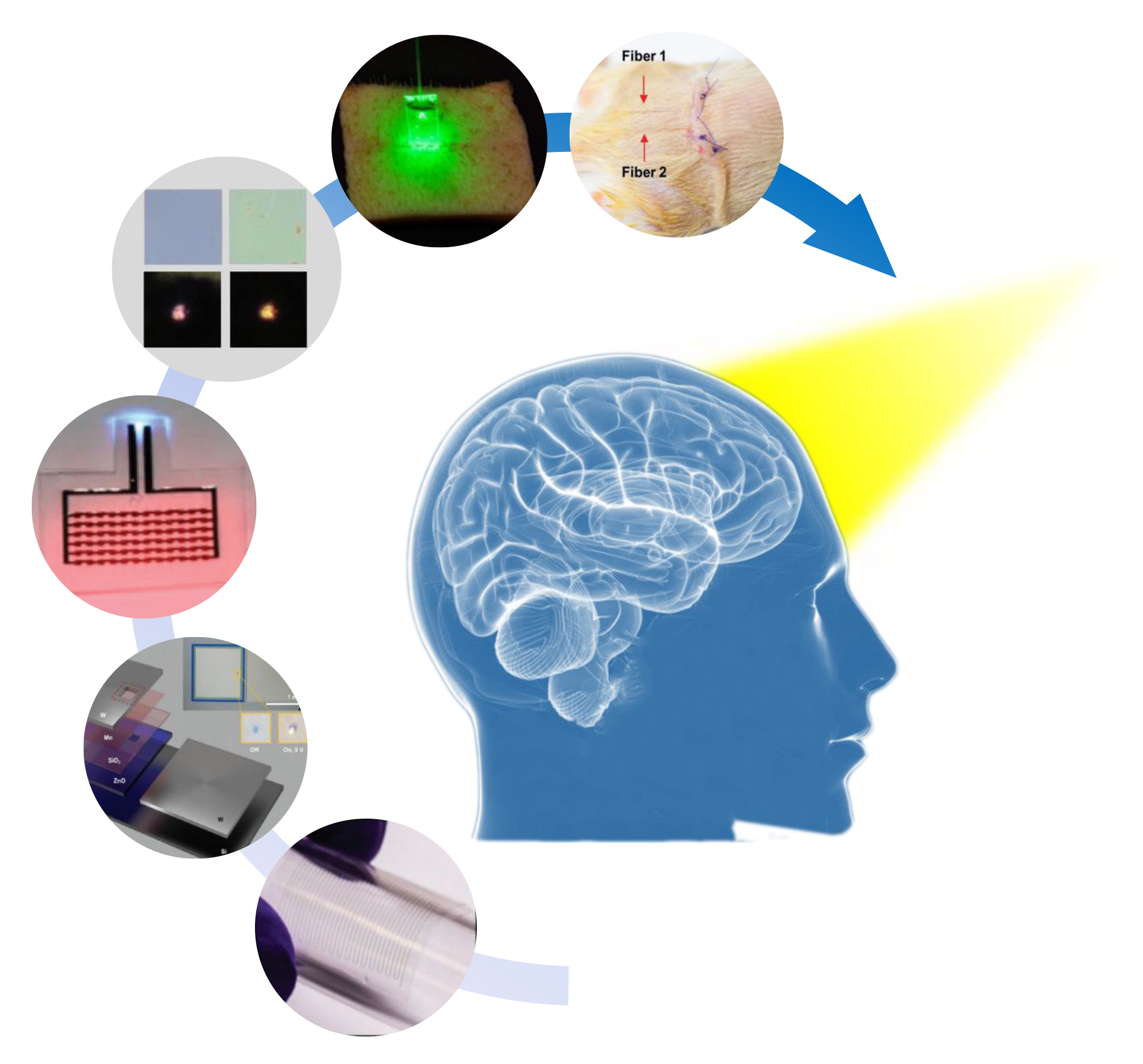 Photonics Free FullText Bioresorbable Photonics Materials, Devices and Applications
