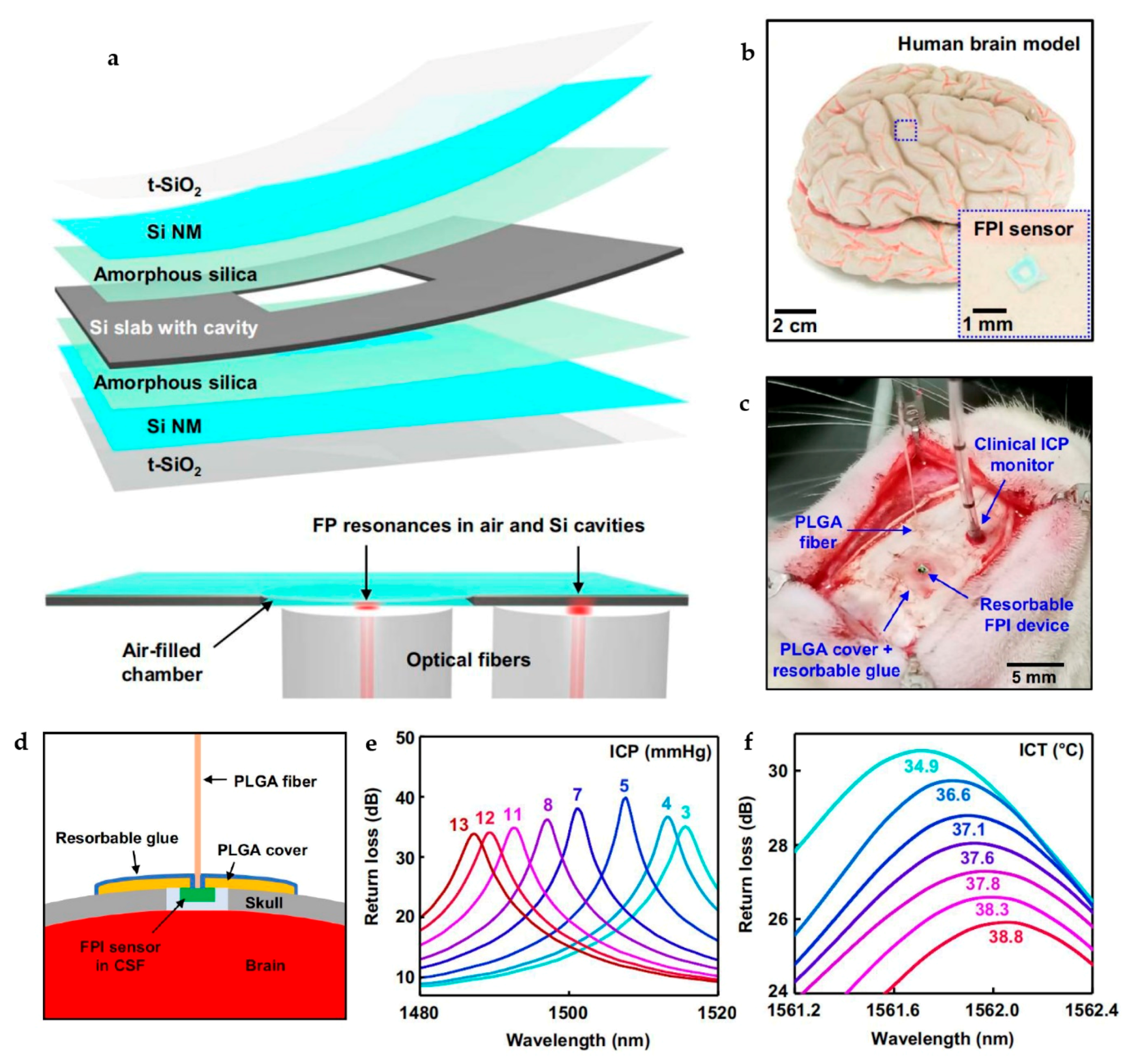 Photonics 08 00235 g005