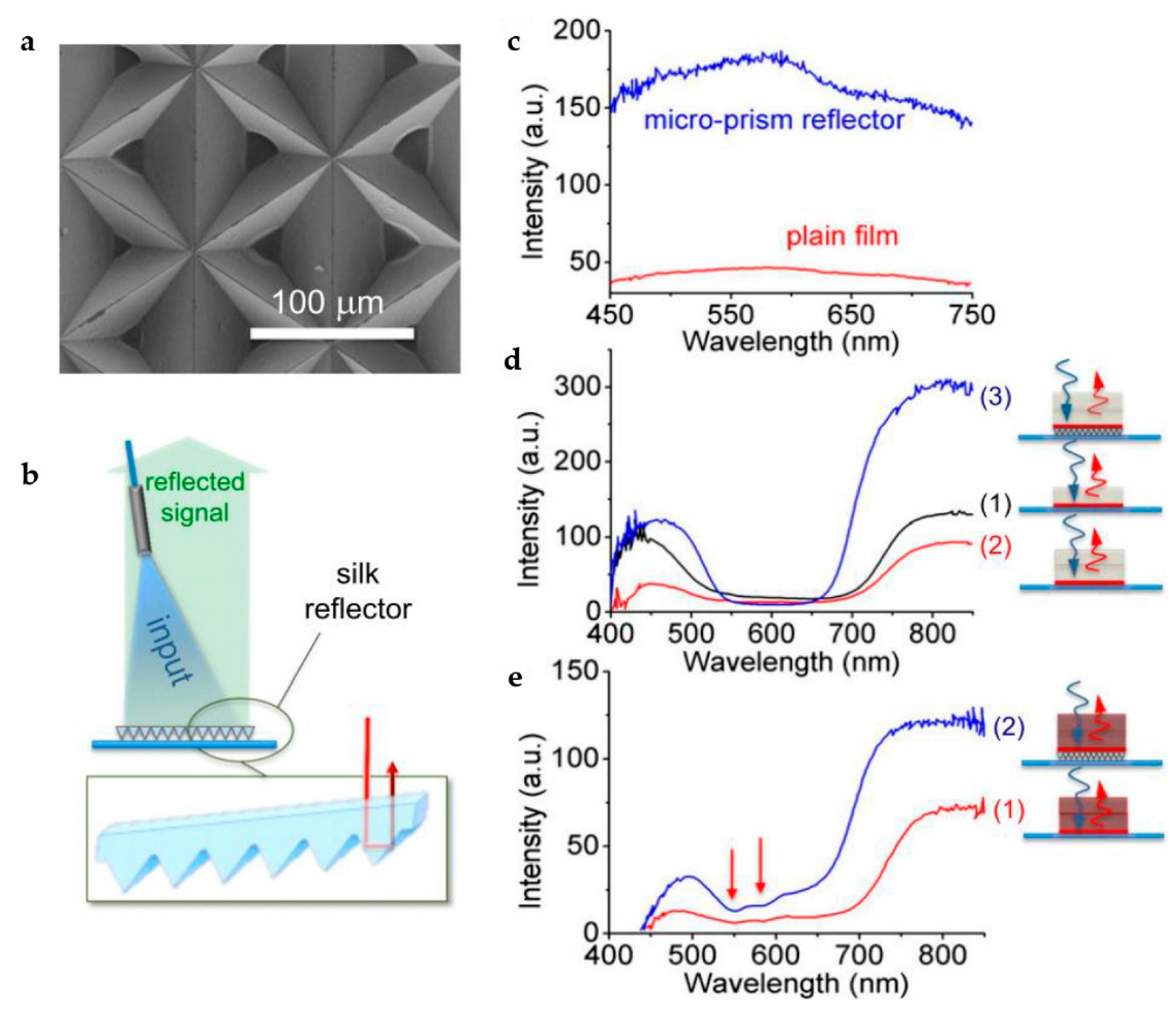 Photonics 08 00235 g007