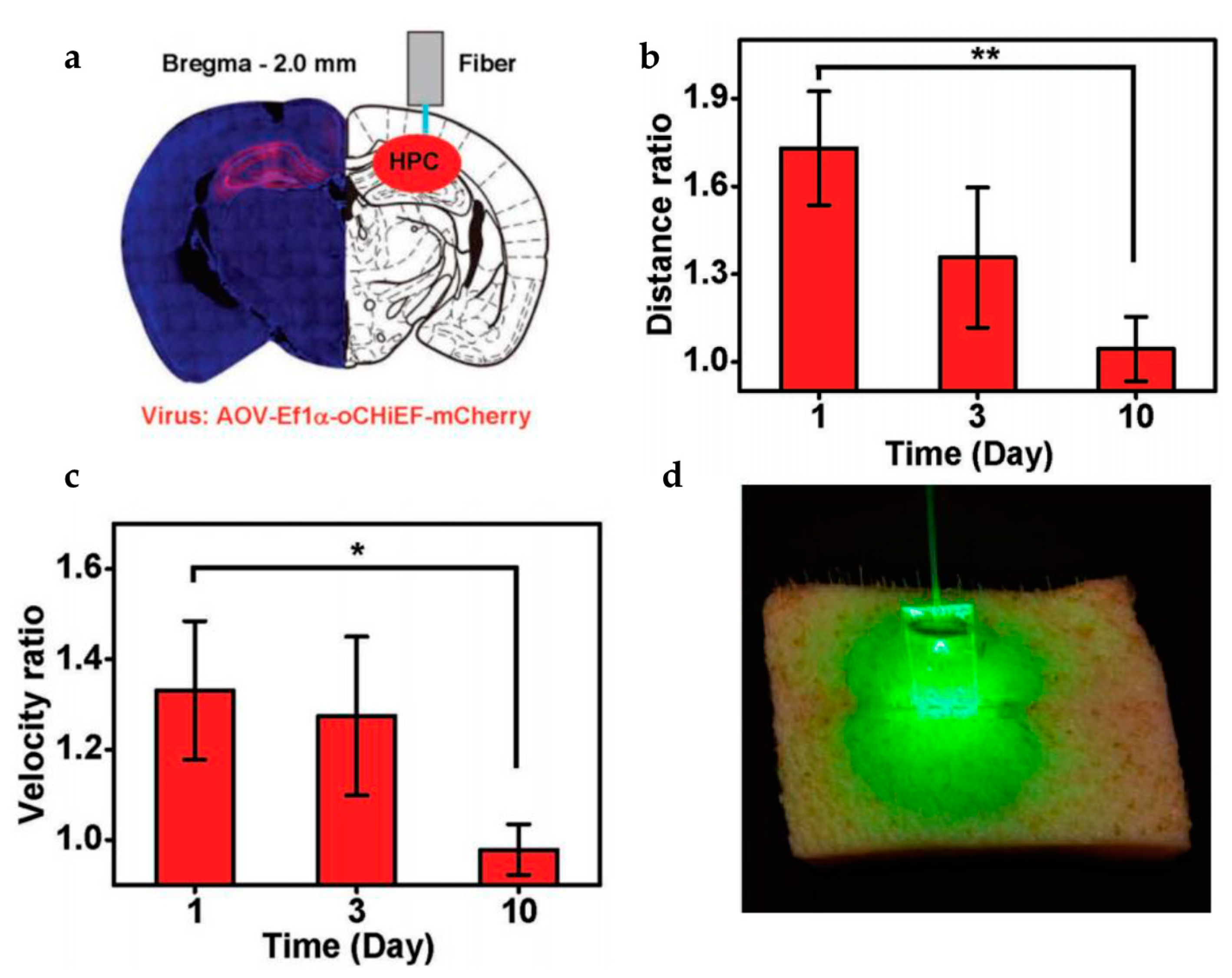 Photonics 08 00235 g008