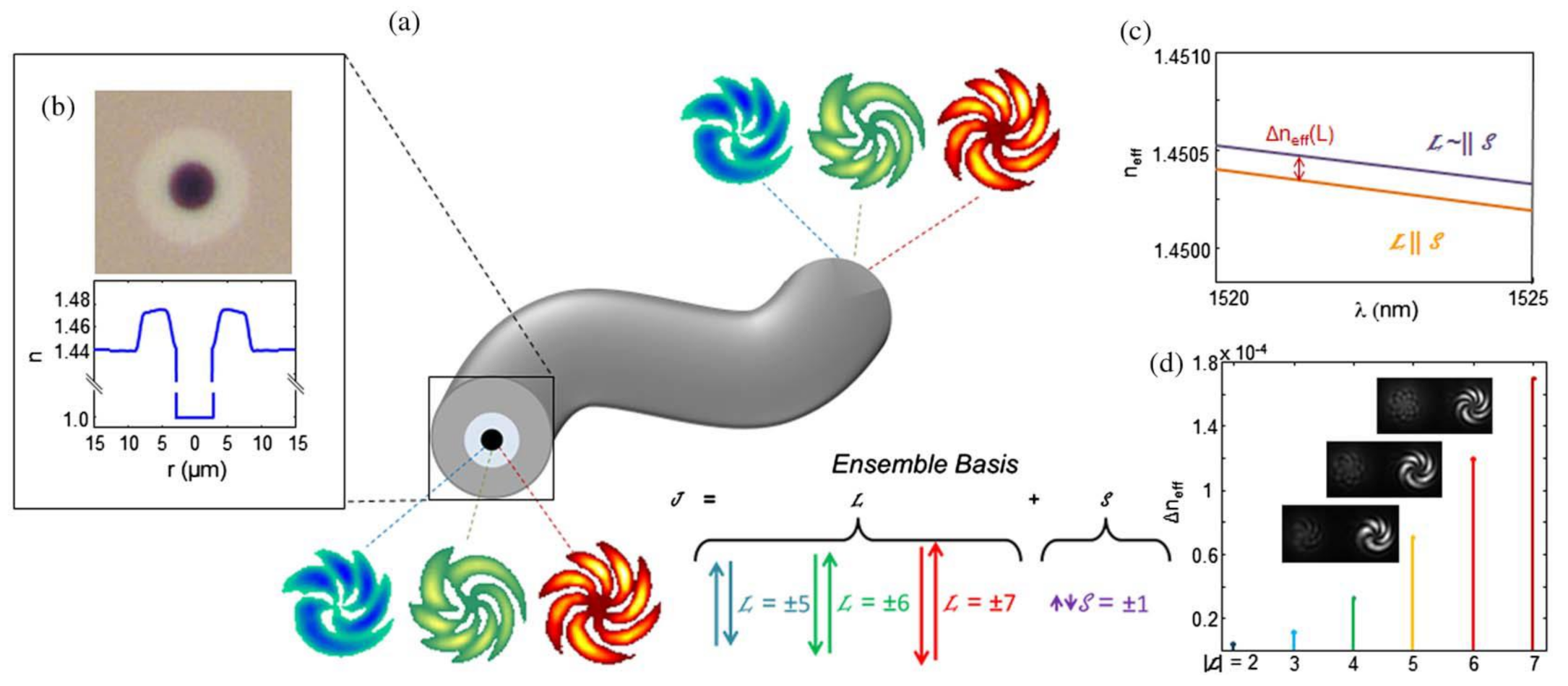 Photonics 08 00246 g006