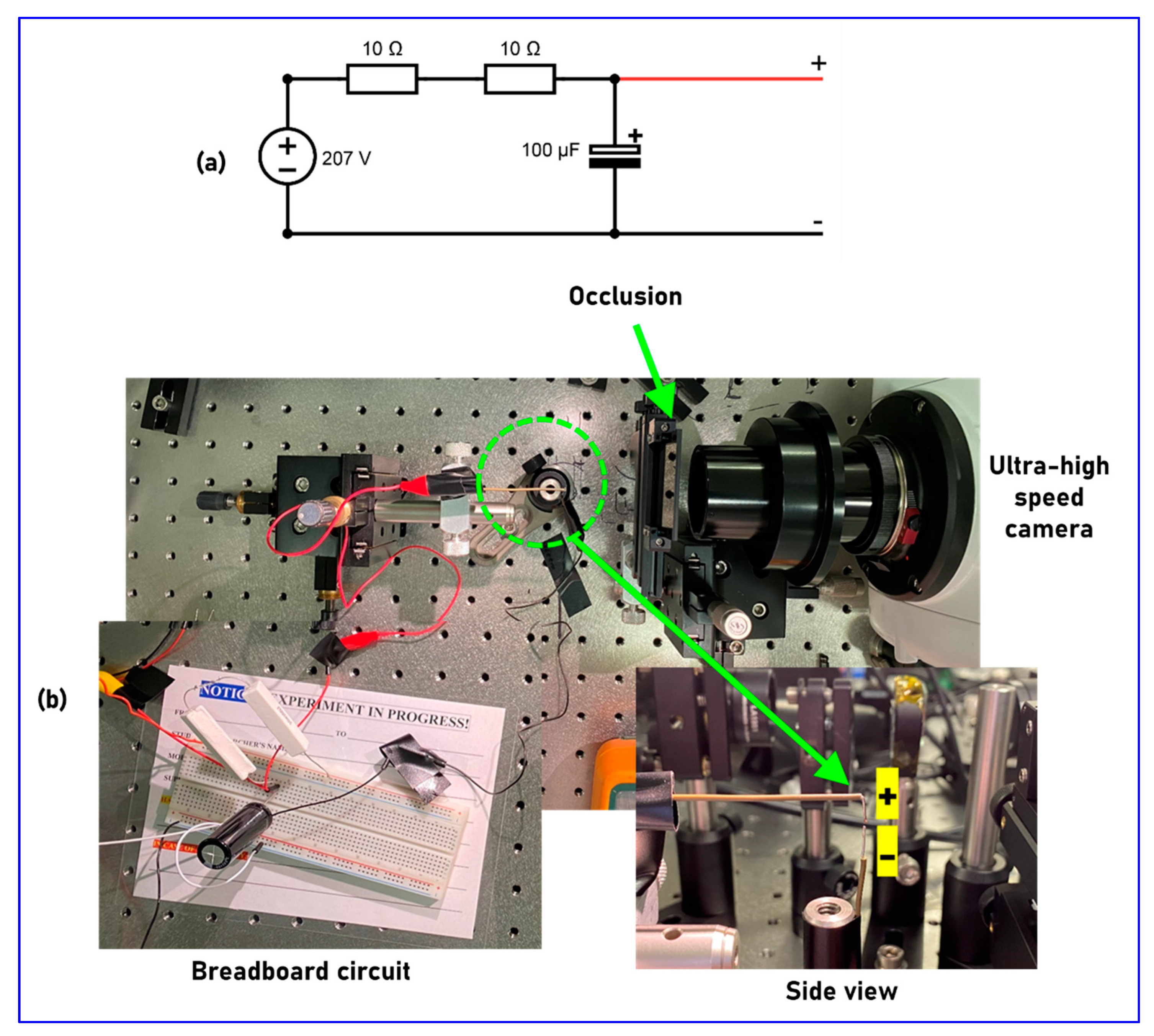 Photonics 08 00253 g005