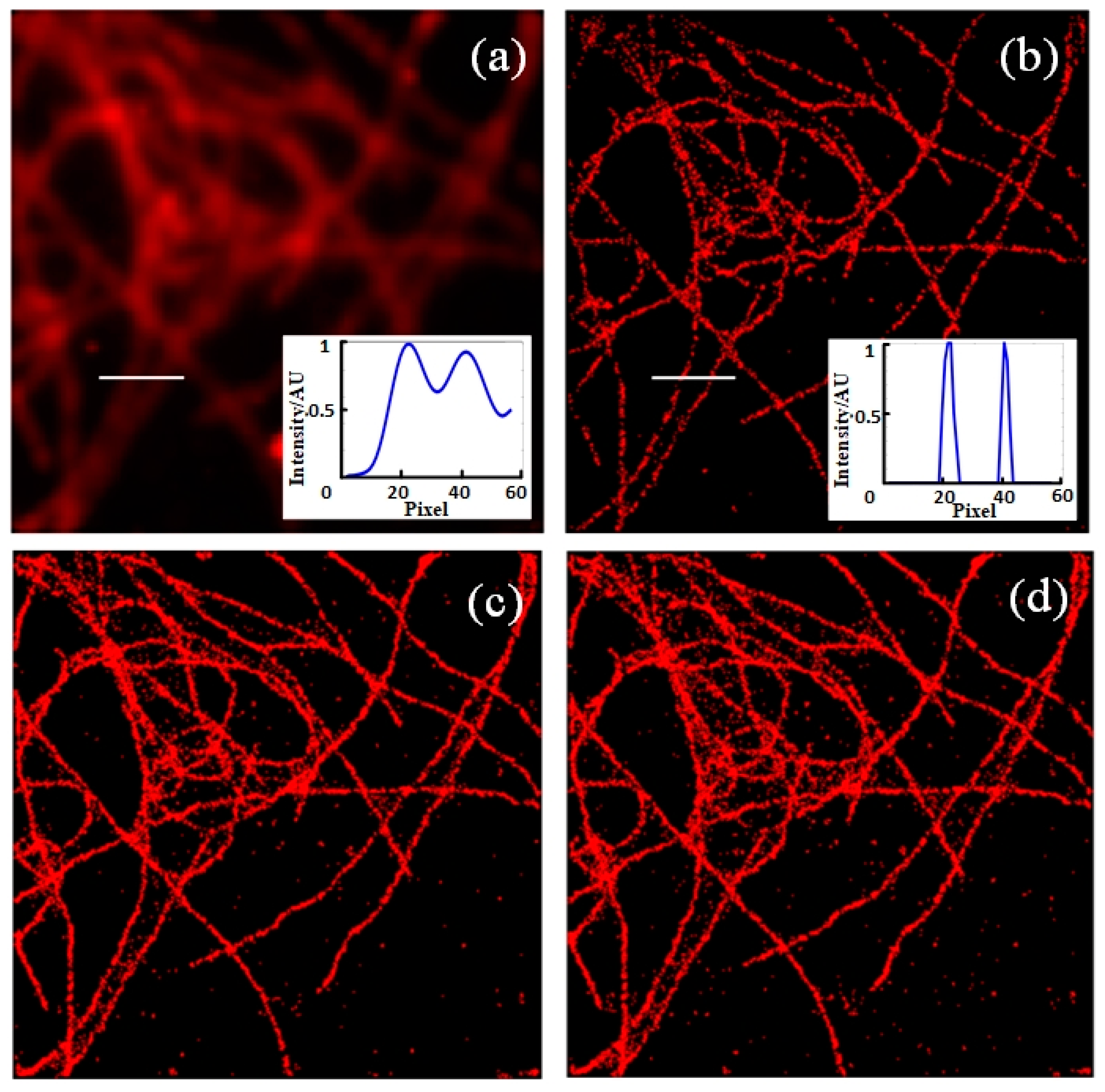 Photonics 08 00273 g004 550