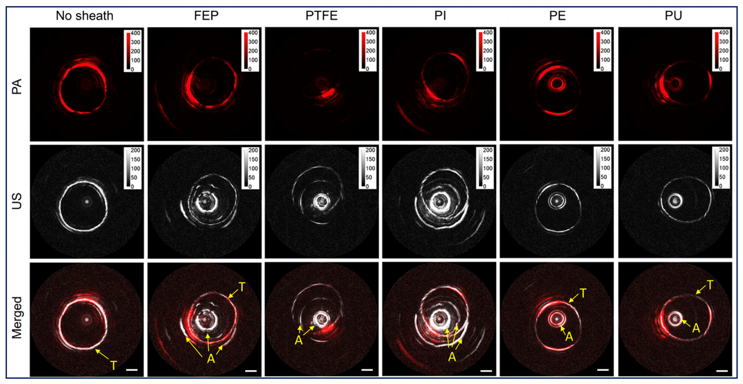 Photonics 08 00281 g005