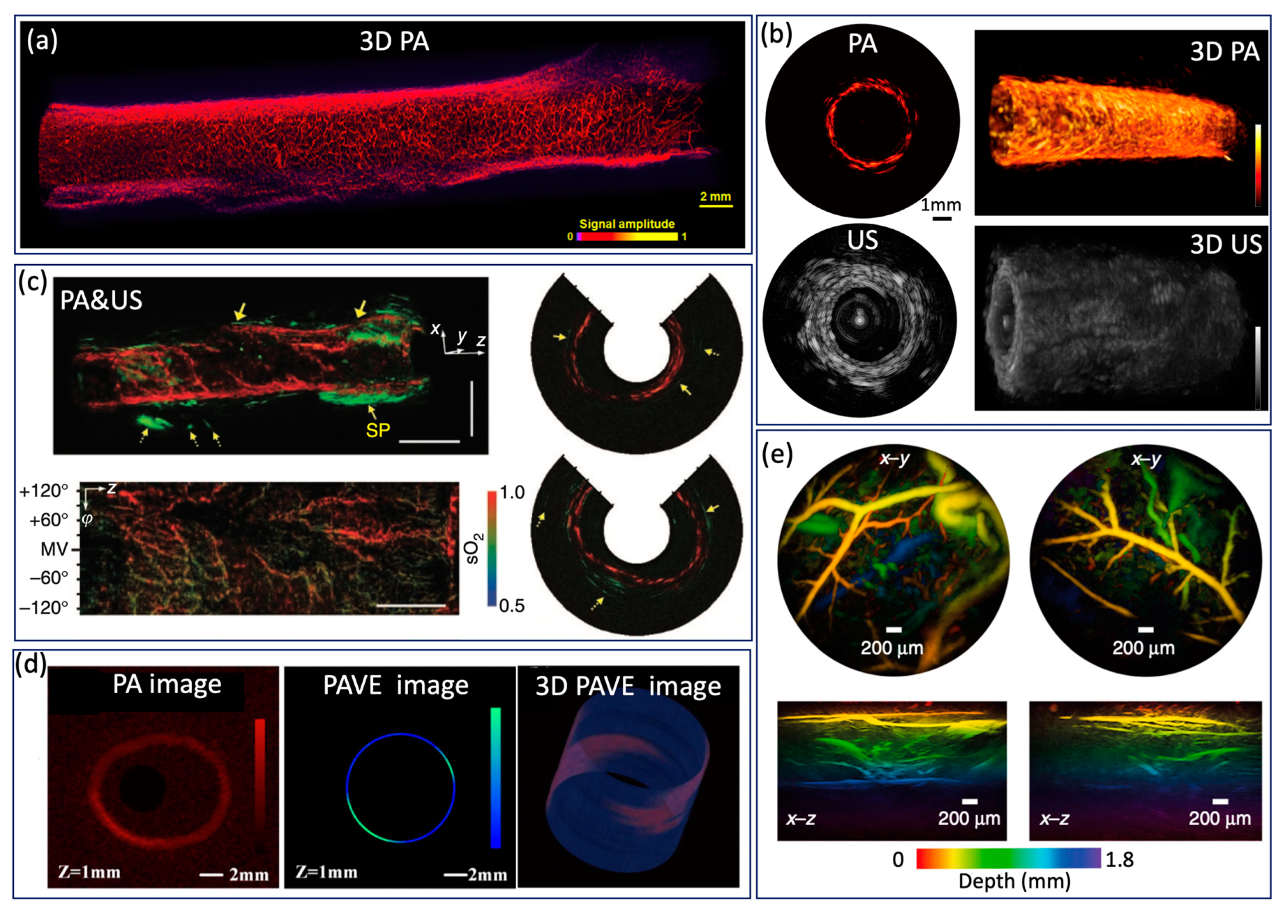 Photonics 08 00281 g006