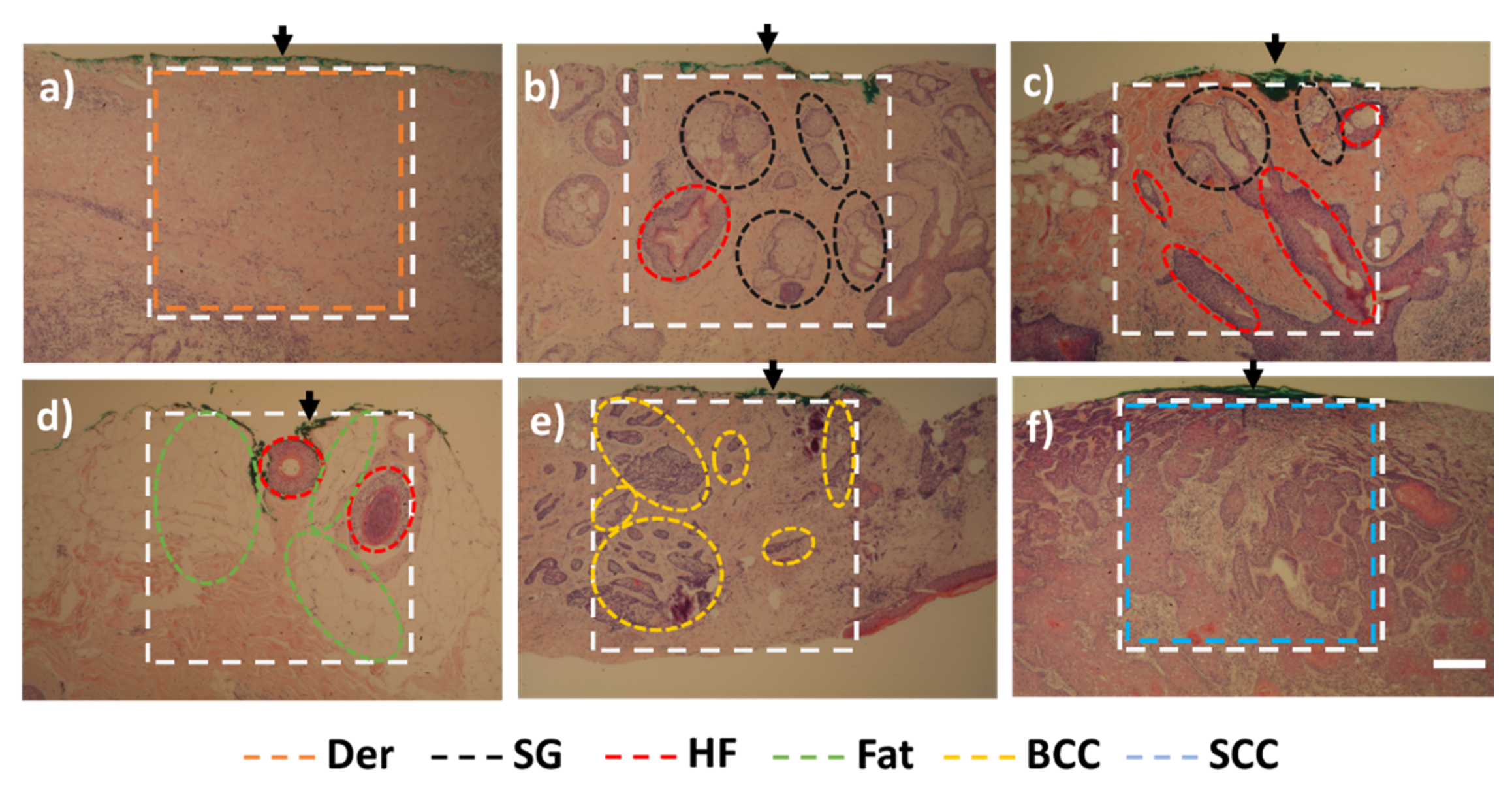 Photonics 08 00282 g001
