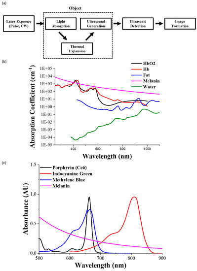 タナカ Types/Applications of Photoacoustic Contrast Agents: A Review