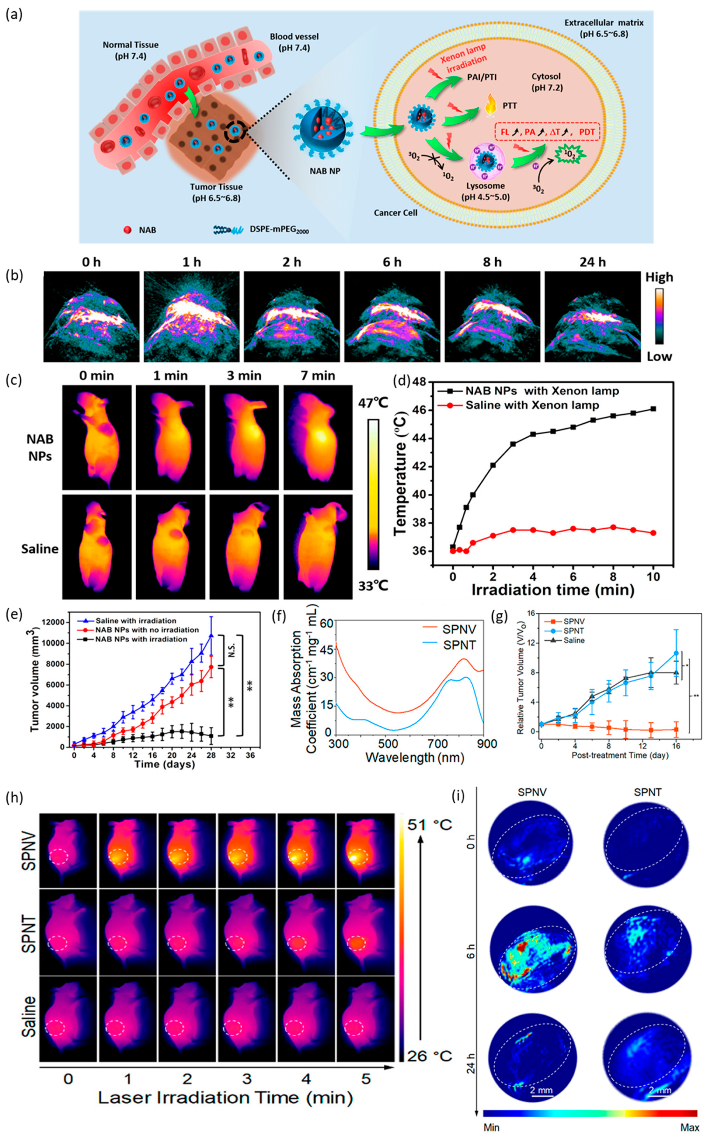 Photonics 08 00287 g005 550