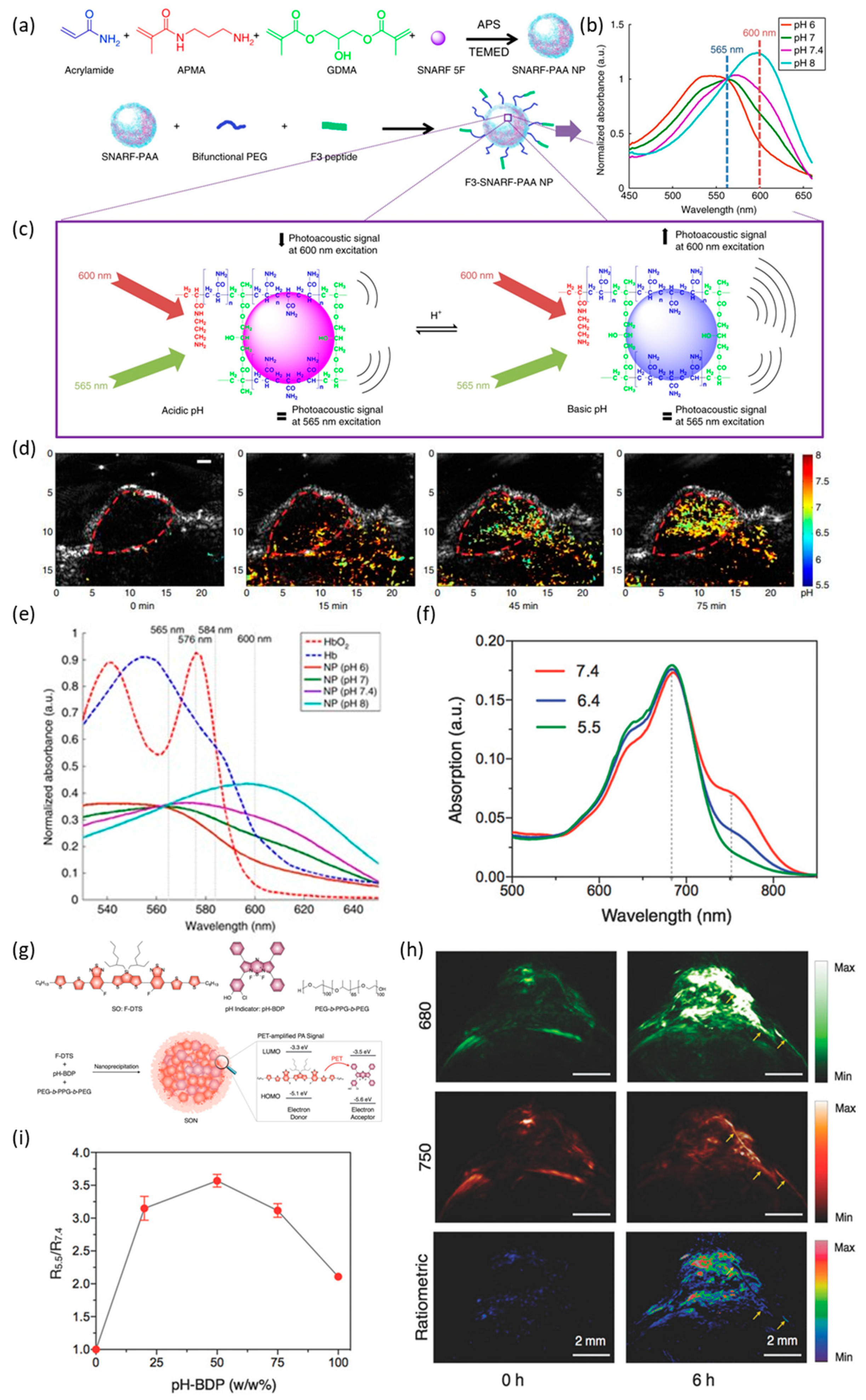 Photonics 08 00287 g007 550