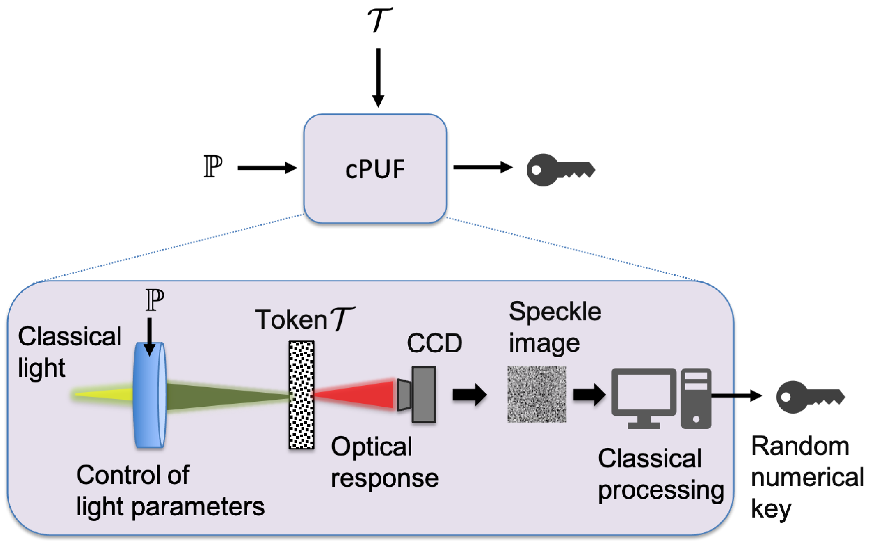 Photonics 08 00289 g002 550