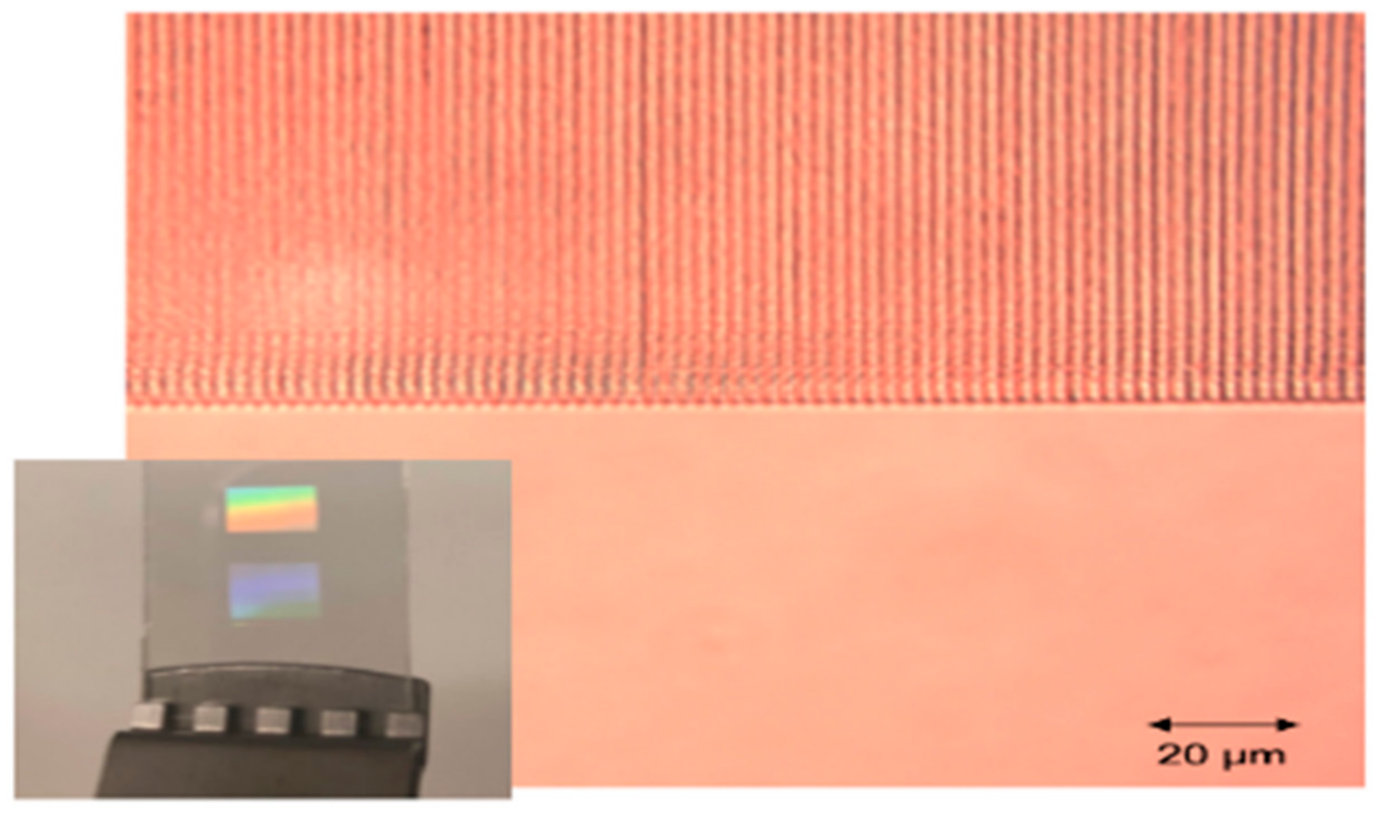 Photonics 08 00292 g013