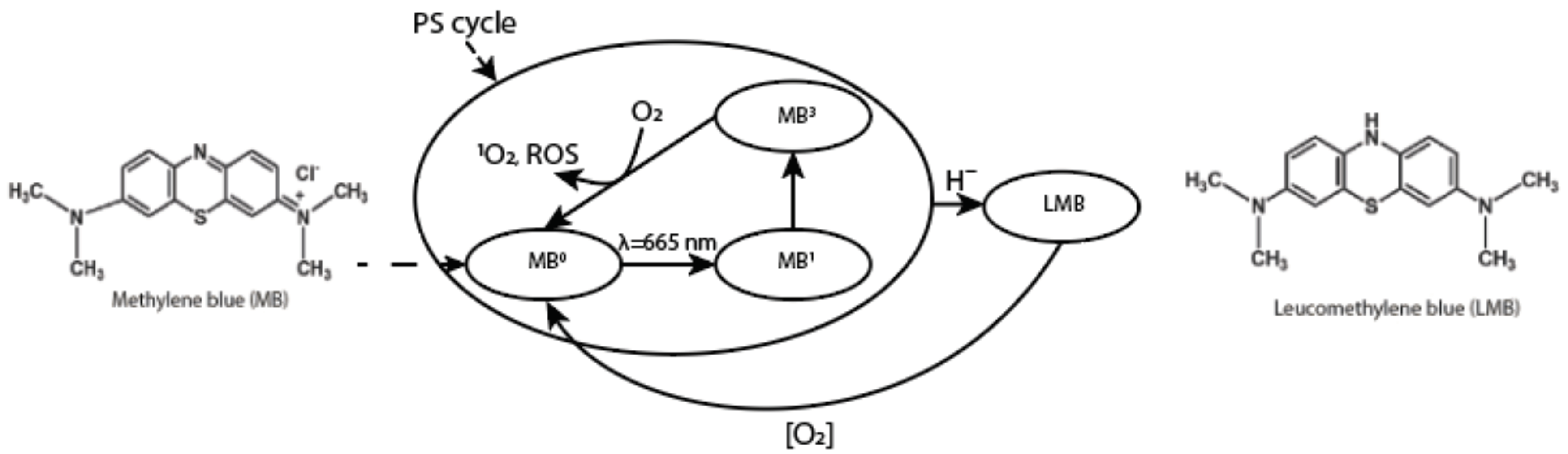 Photonics 08 00294 g002 550