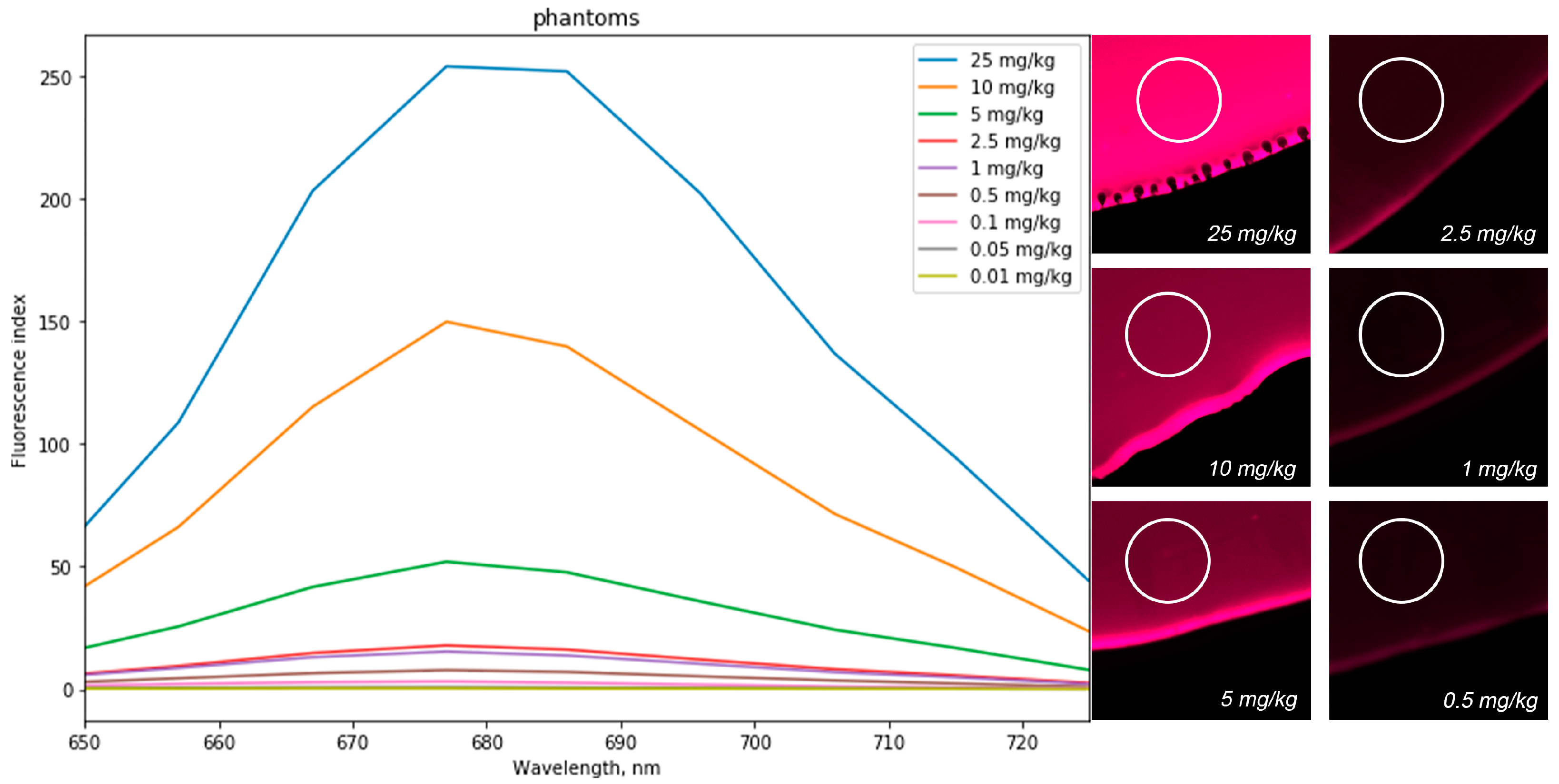 Photonics 08 00294 g006 550