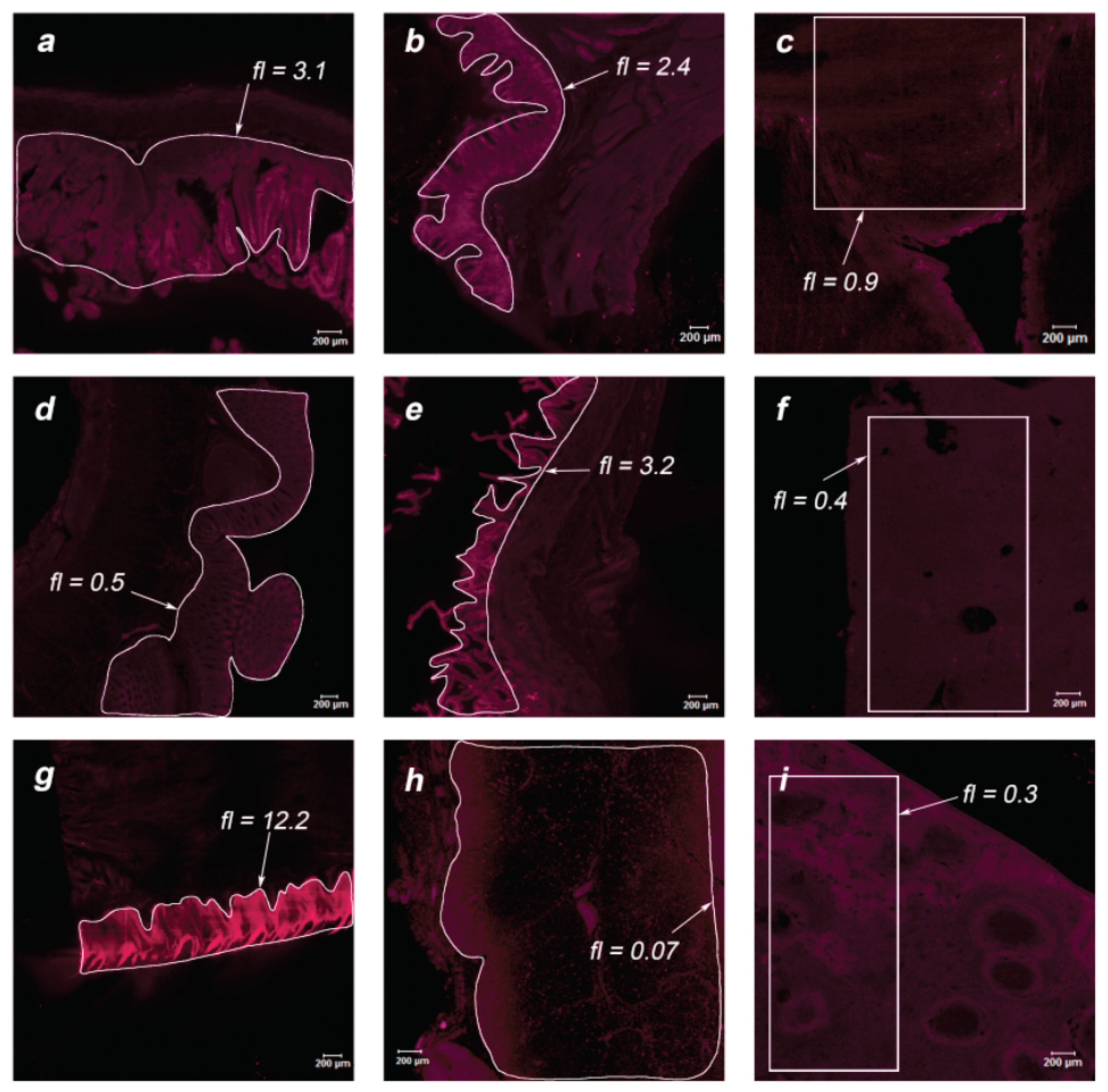 Photonics 08 00294 g008 550